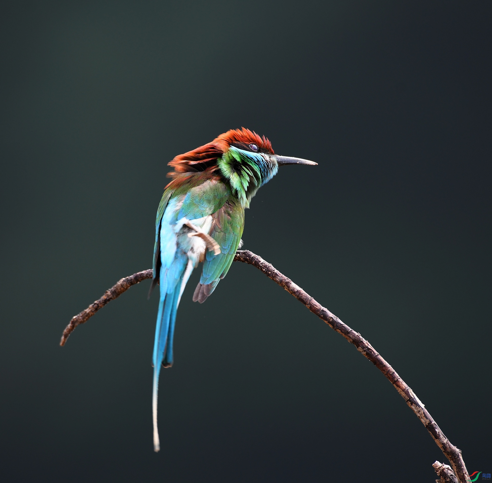 DSC_3925.jpg