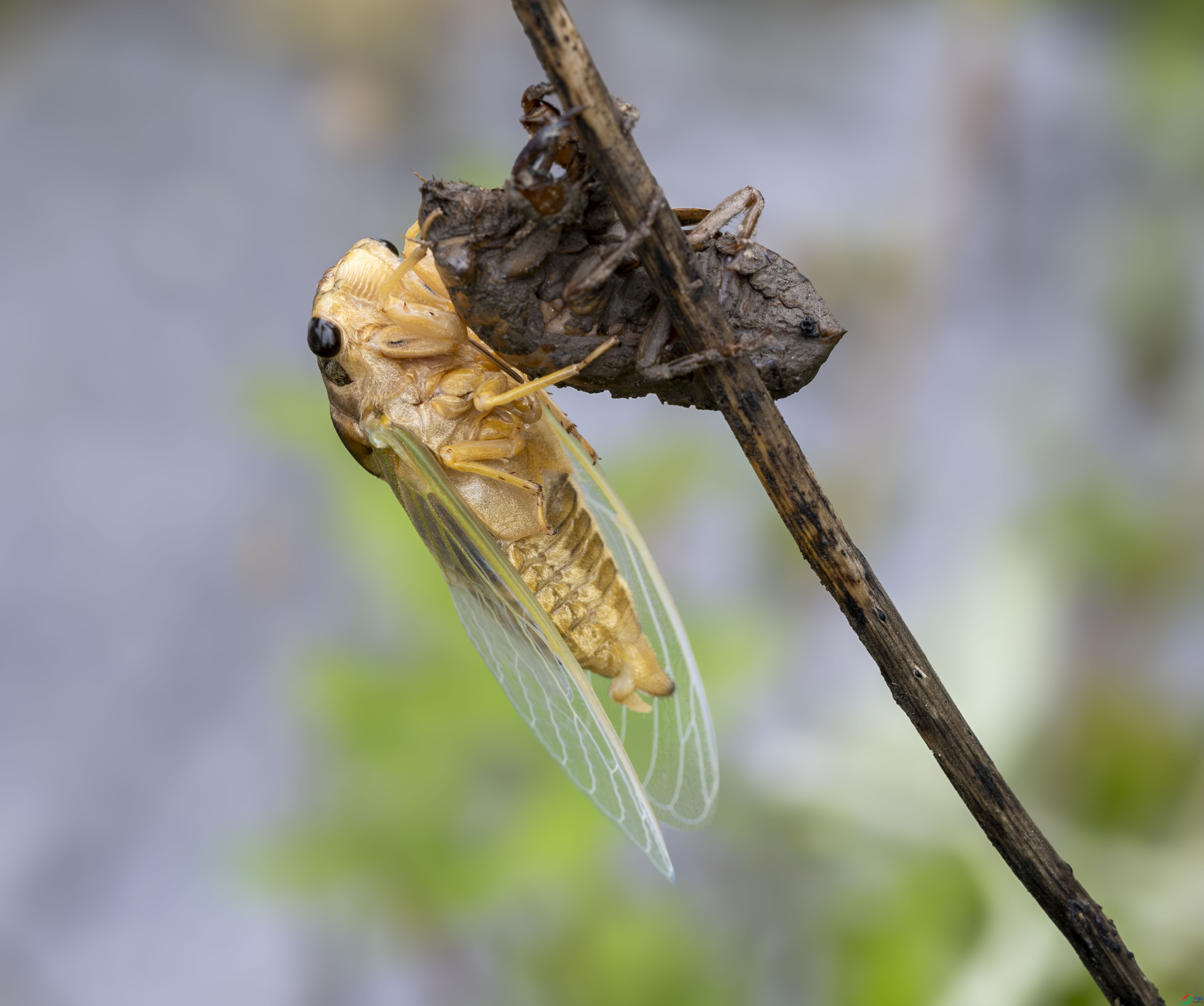 DSCF4173.JPG