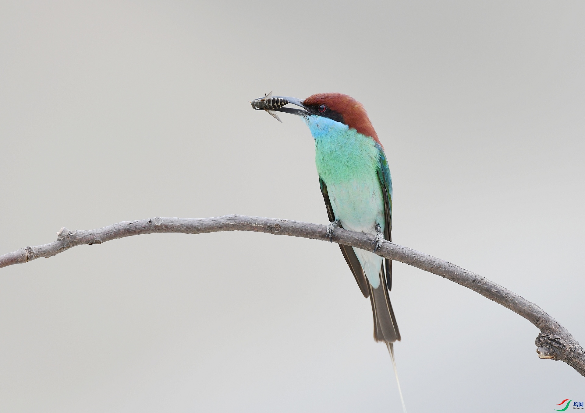 DSC_0344.jpg