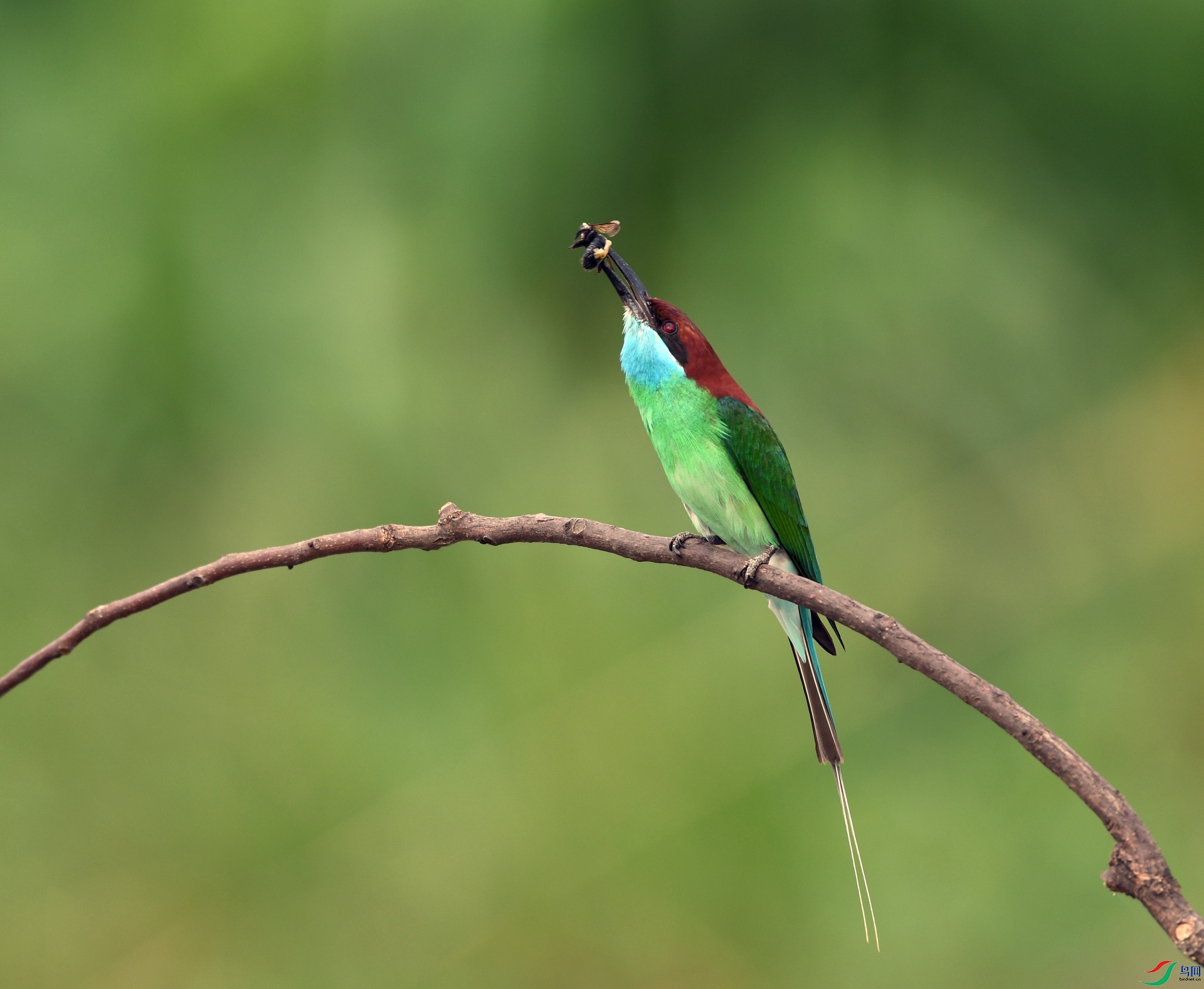DSC_1075.jpg
