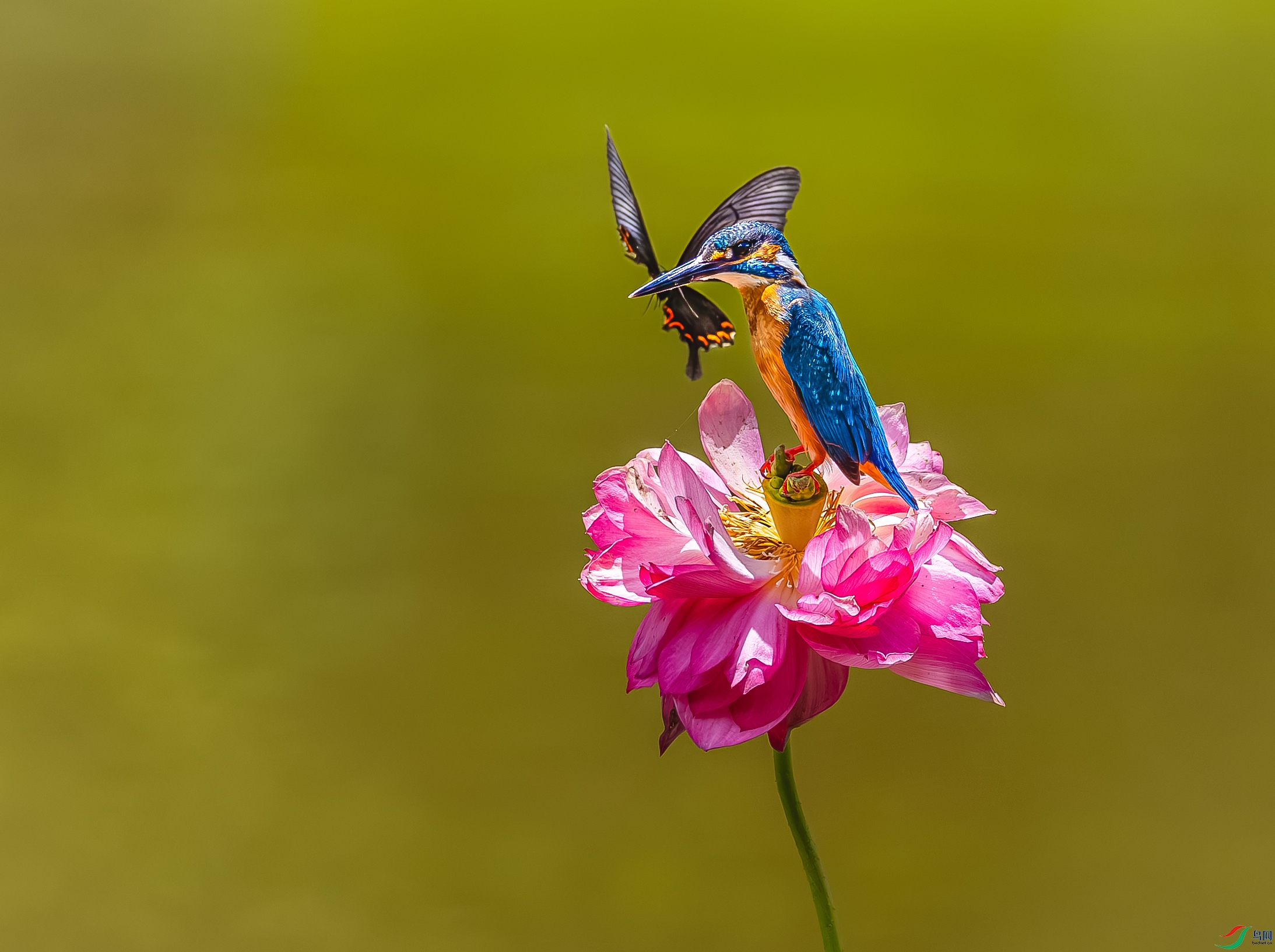 _B9A9561-22.jpg