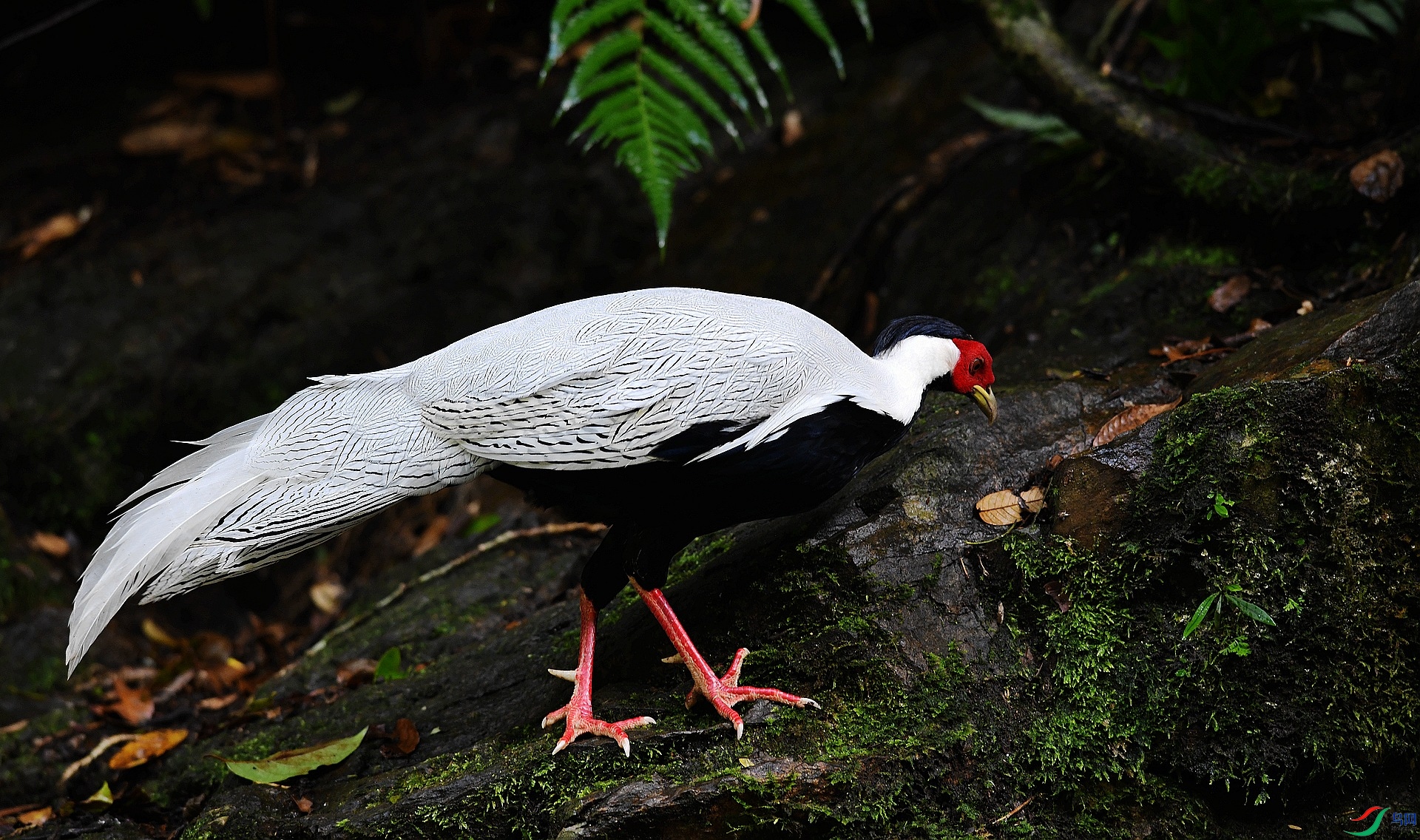 DSC_4841.jpg