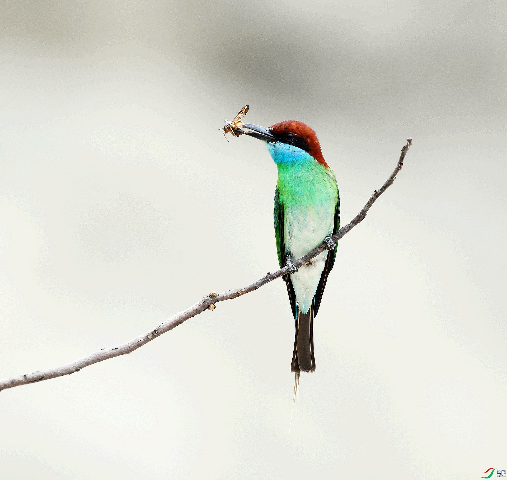 DSC_0086.jpg