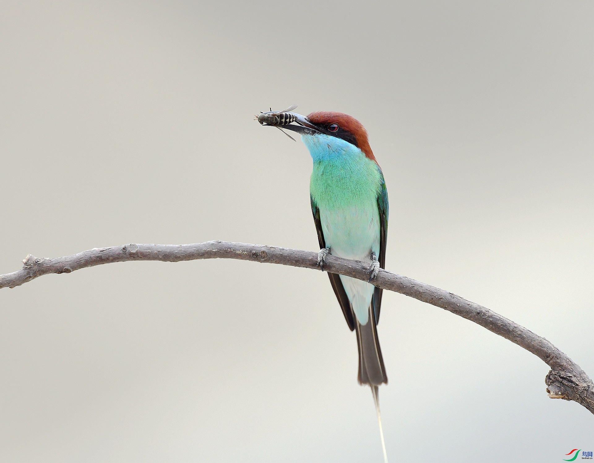 DSC_0342.jpg