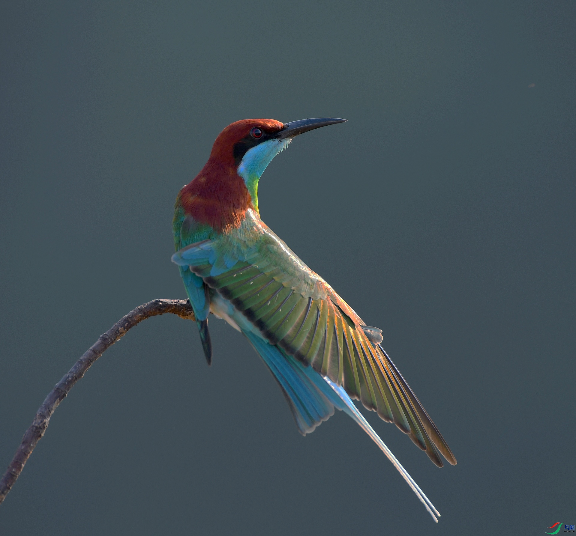 DSC_3934.jpg