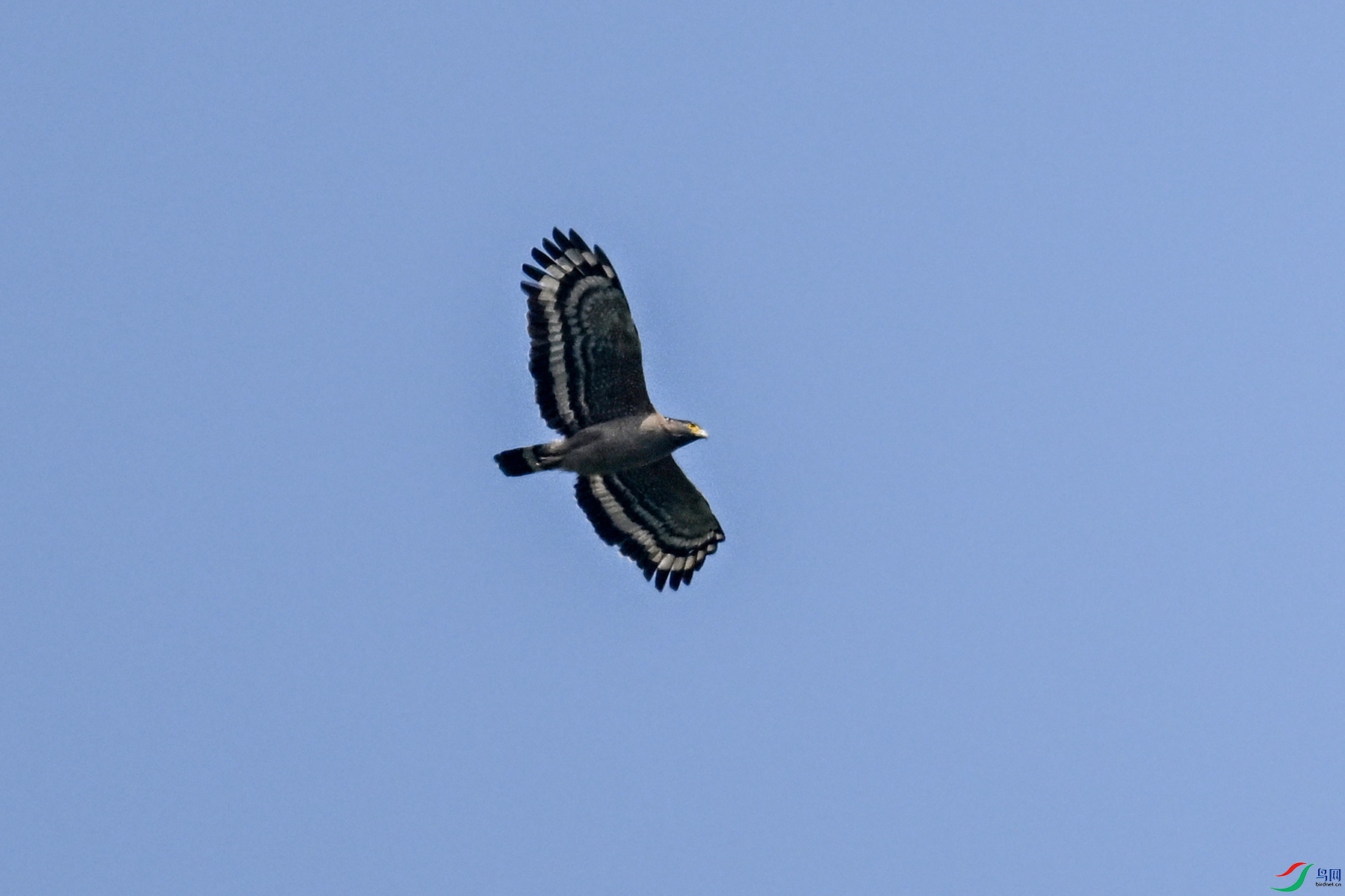 DSC_5517.JPG