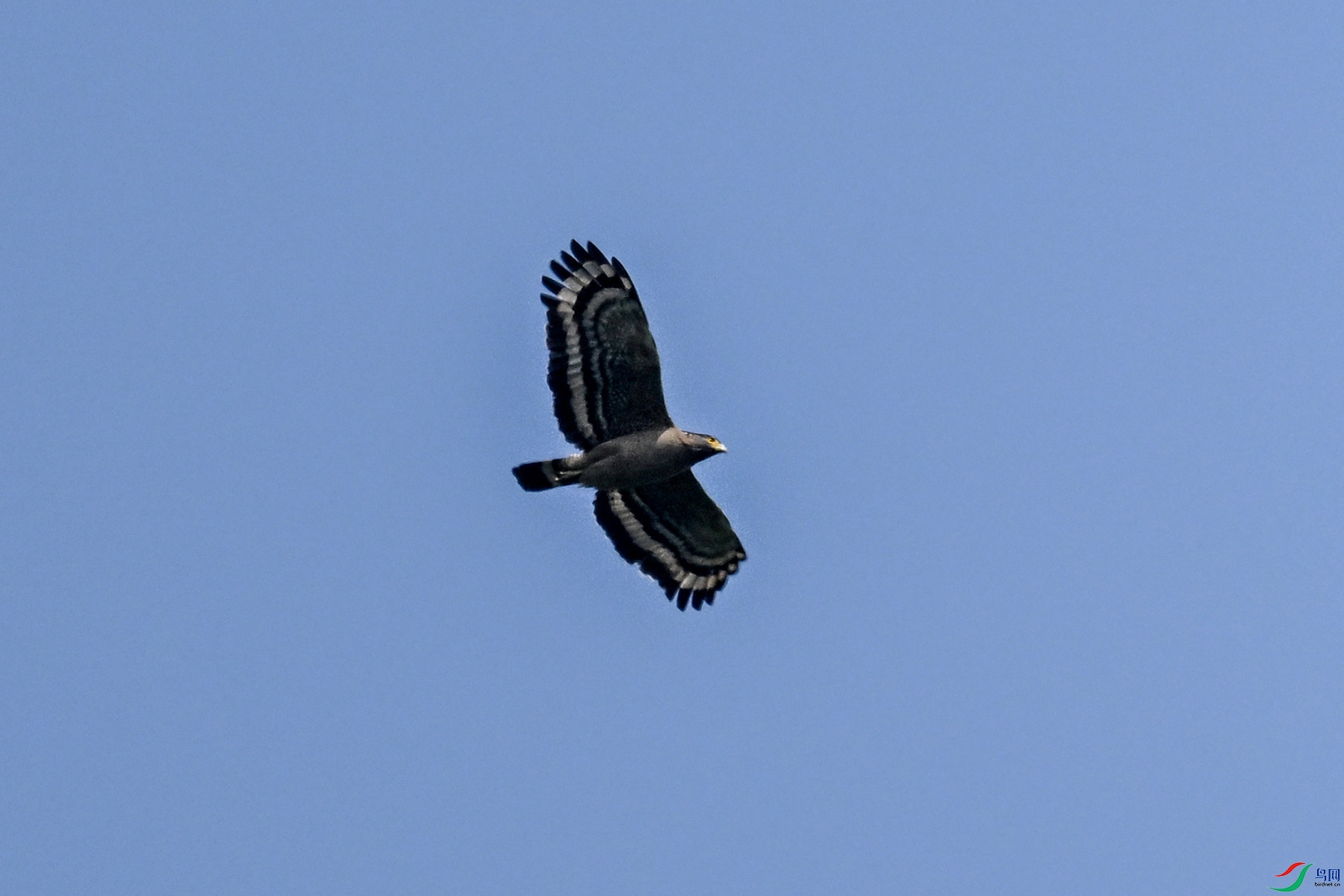 DSC_5516.JPG