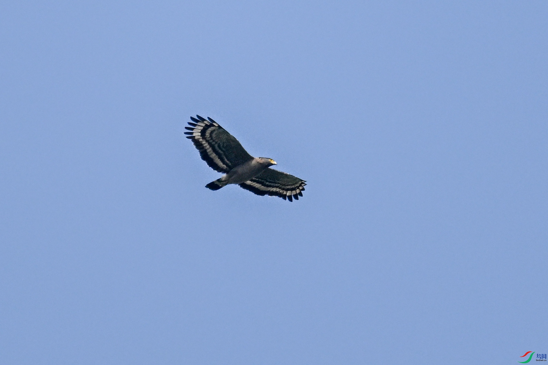 DSC_5502.JPG