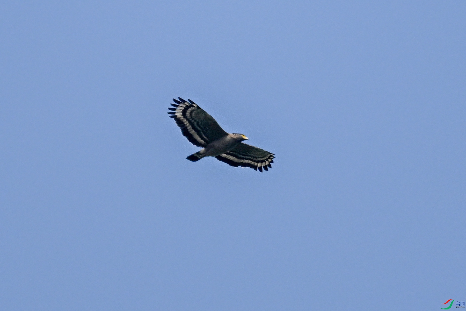 DSC_5504.JPG
