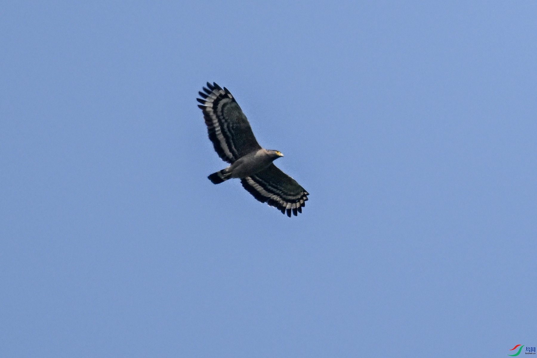 DSC_5513.JPG