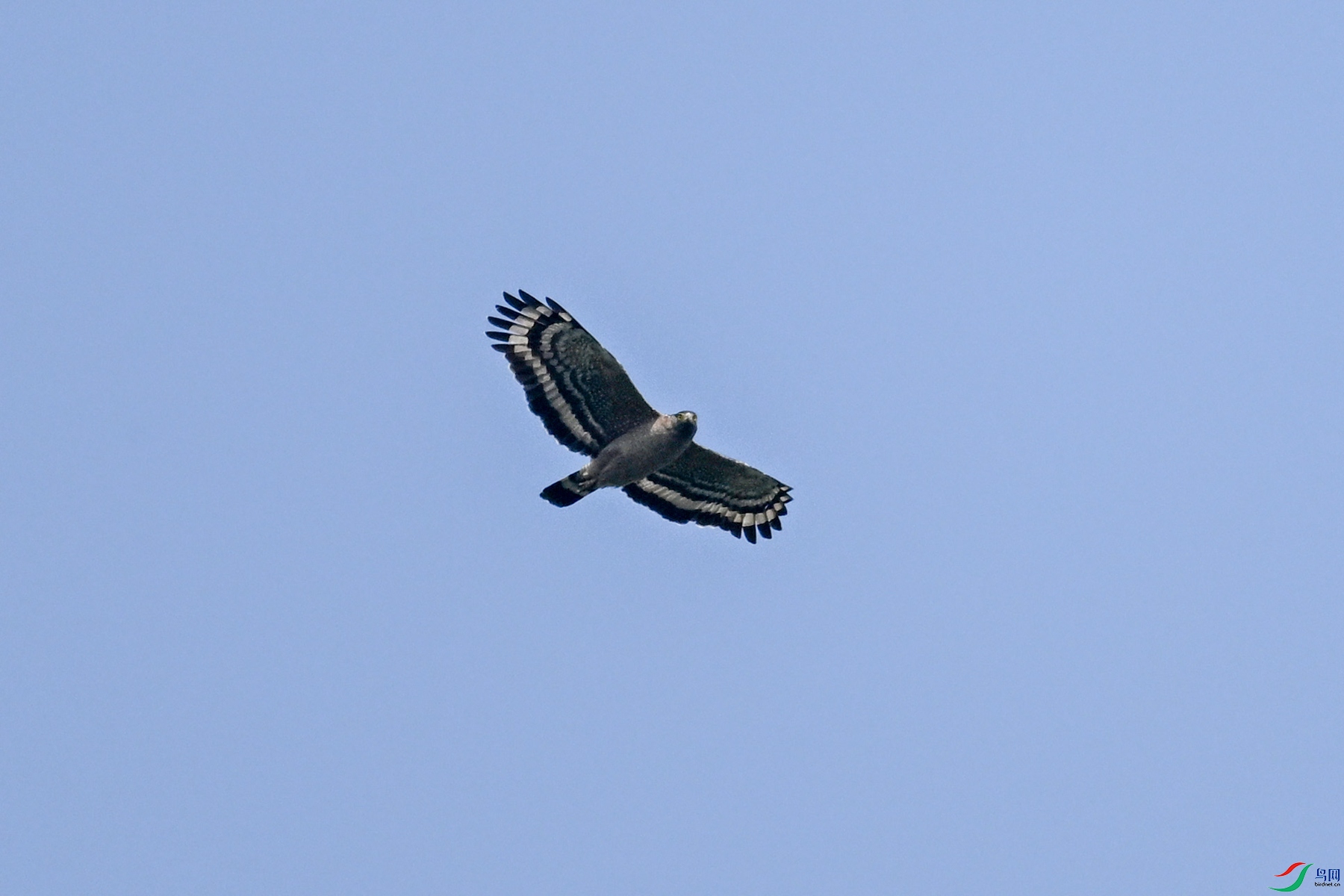 DSC_5506.JPG