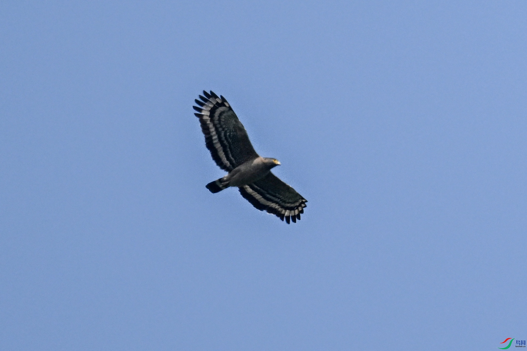 DSC_5511.JPG