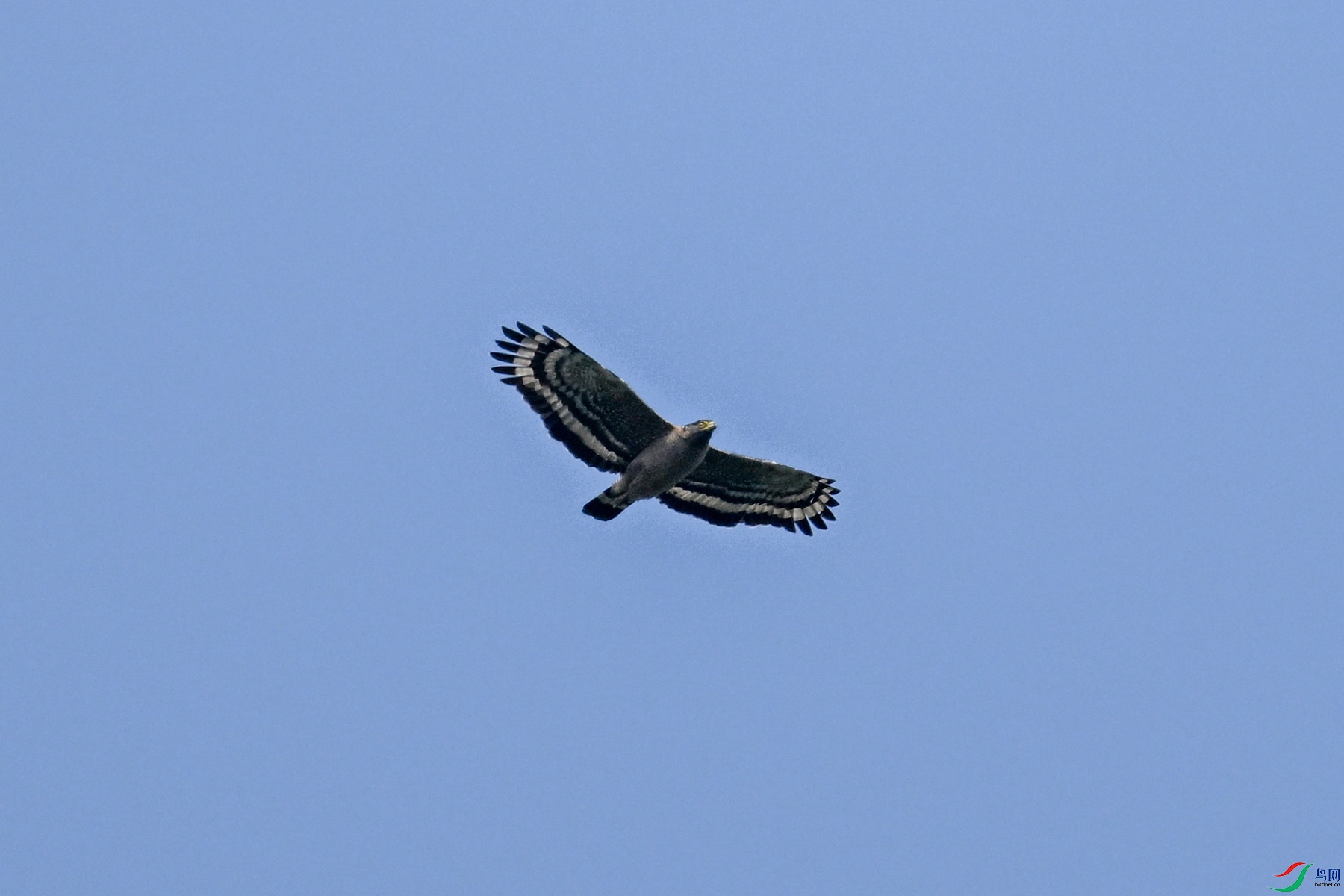 DSC_5508.JPG