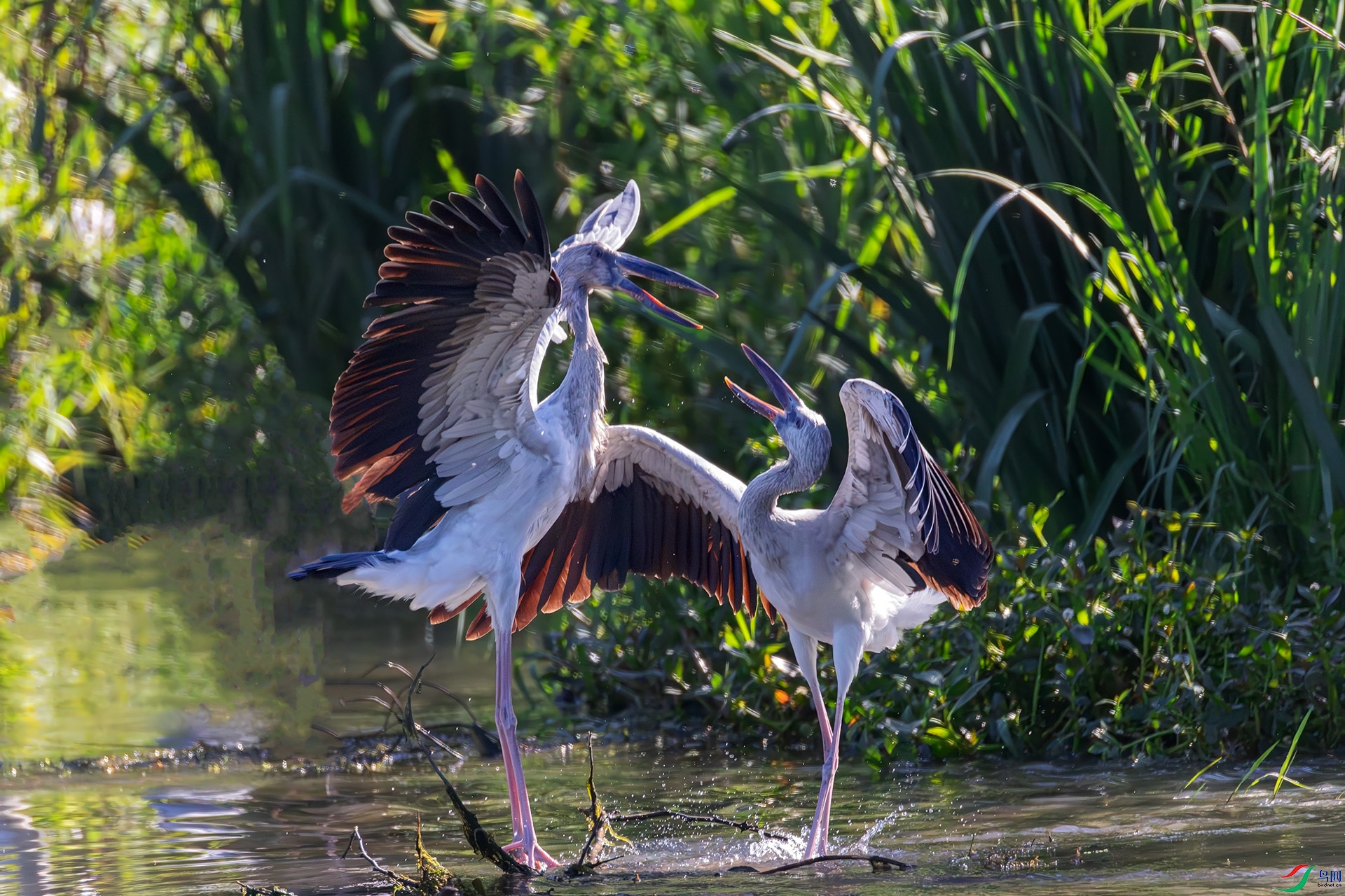  ǯ����