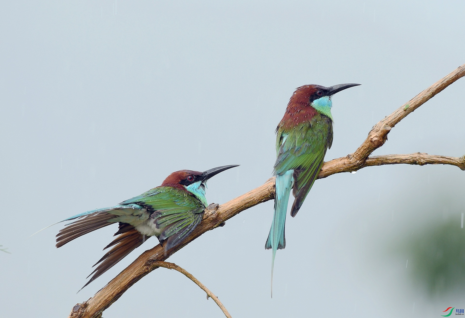 DSC_1561.jpg