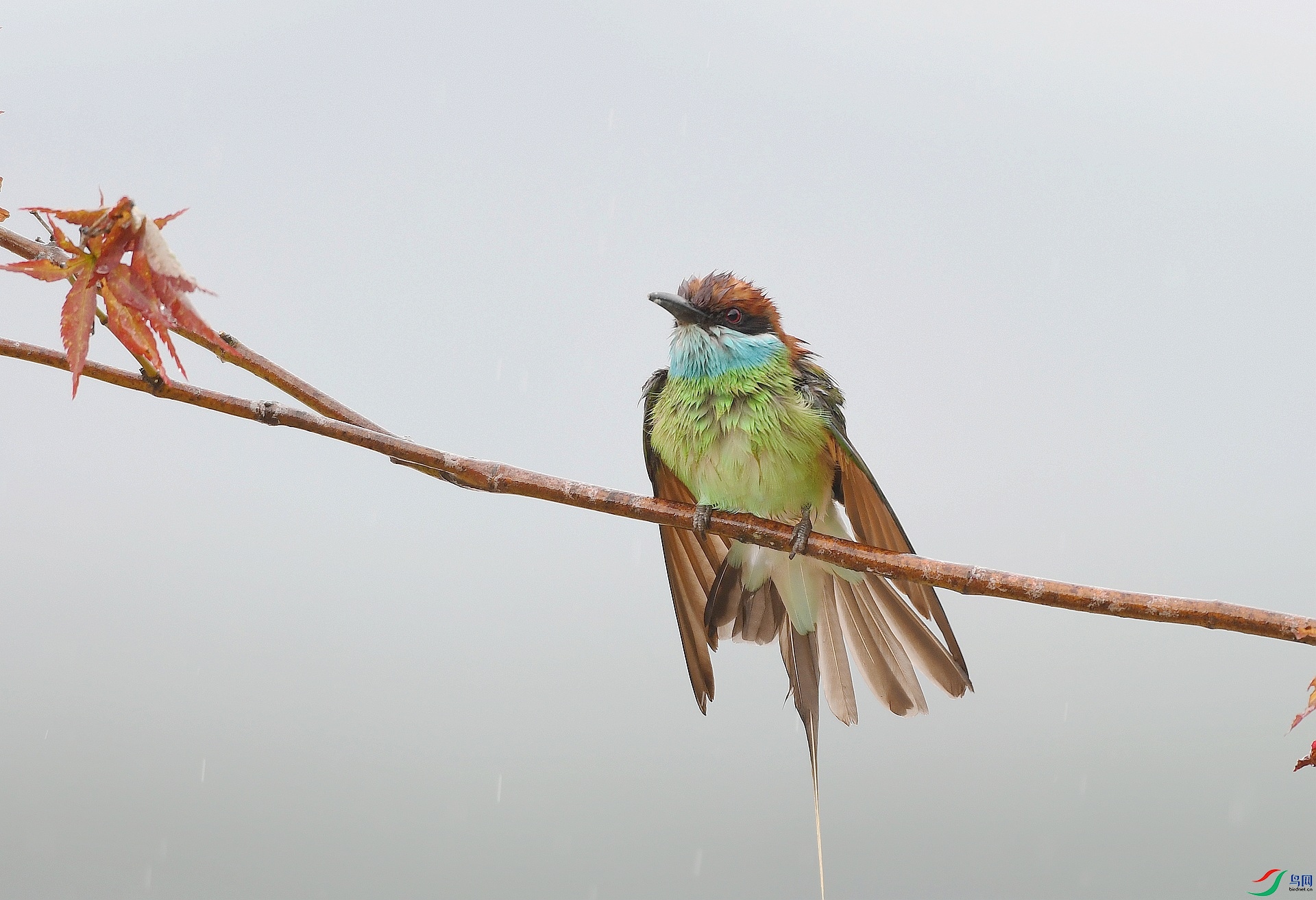 DSC_1862.jpg