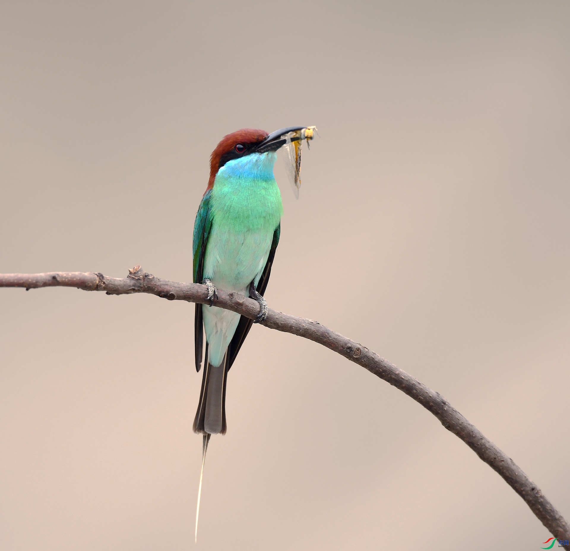 DSC_0553.jpg