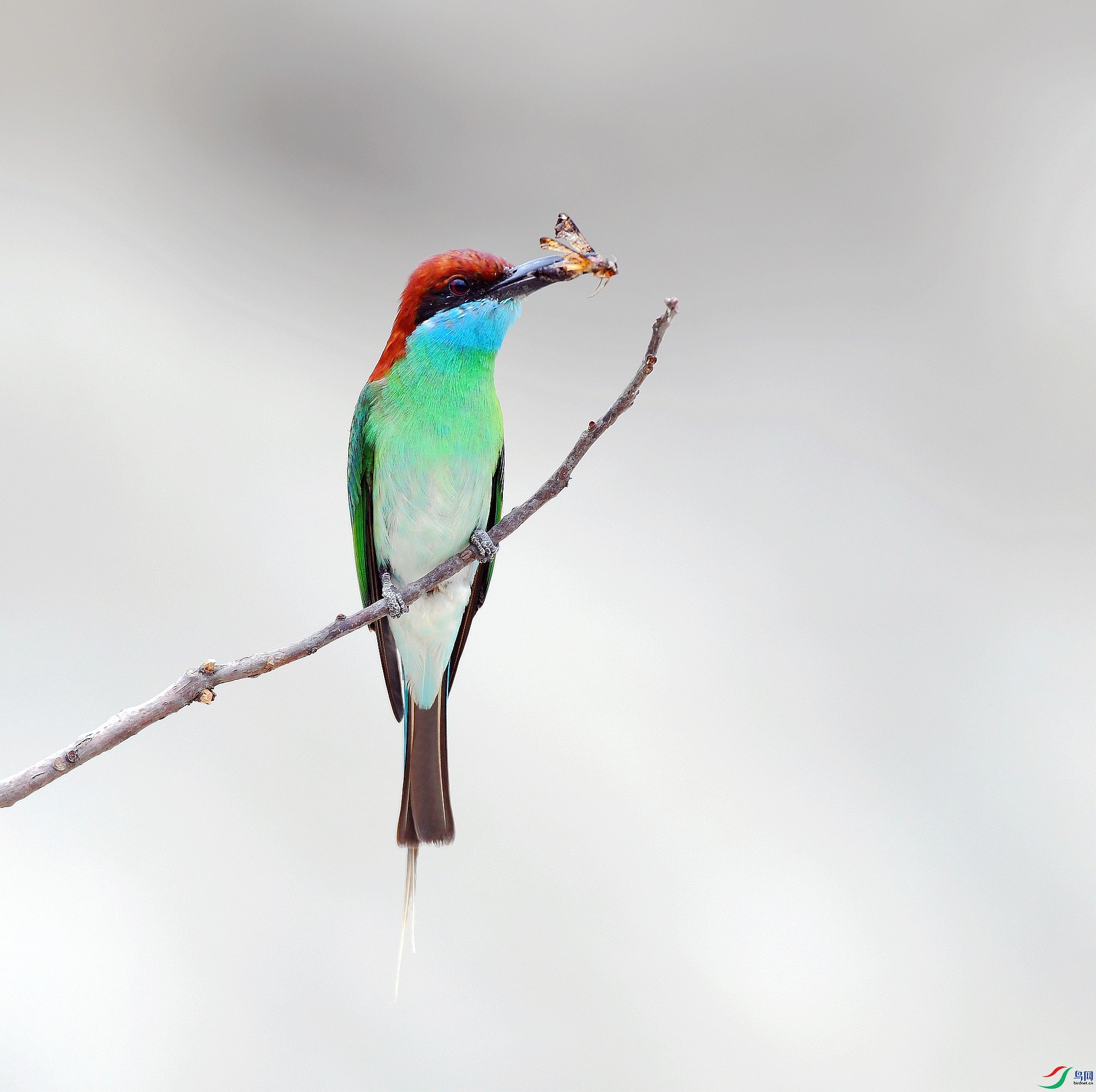 DSC_0074.jpg