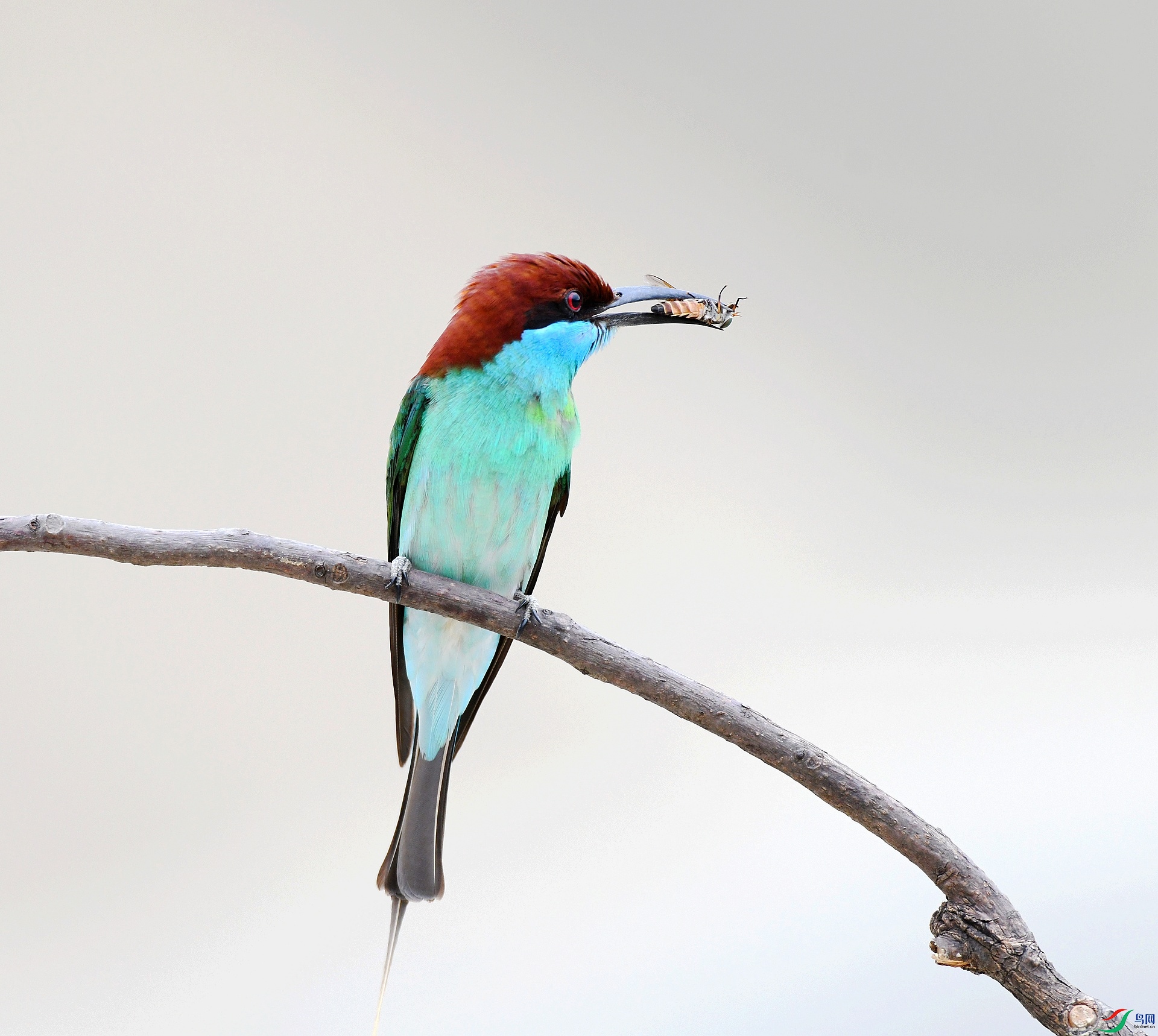 DSC_0051.jpg