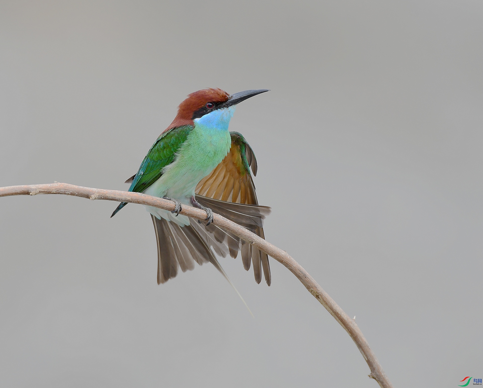 DSC_2499.jpg