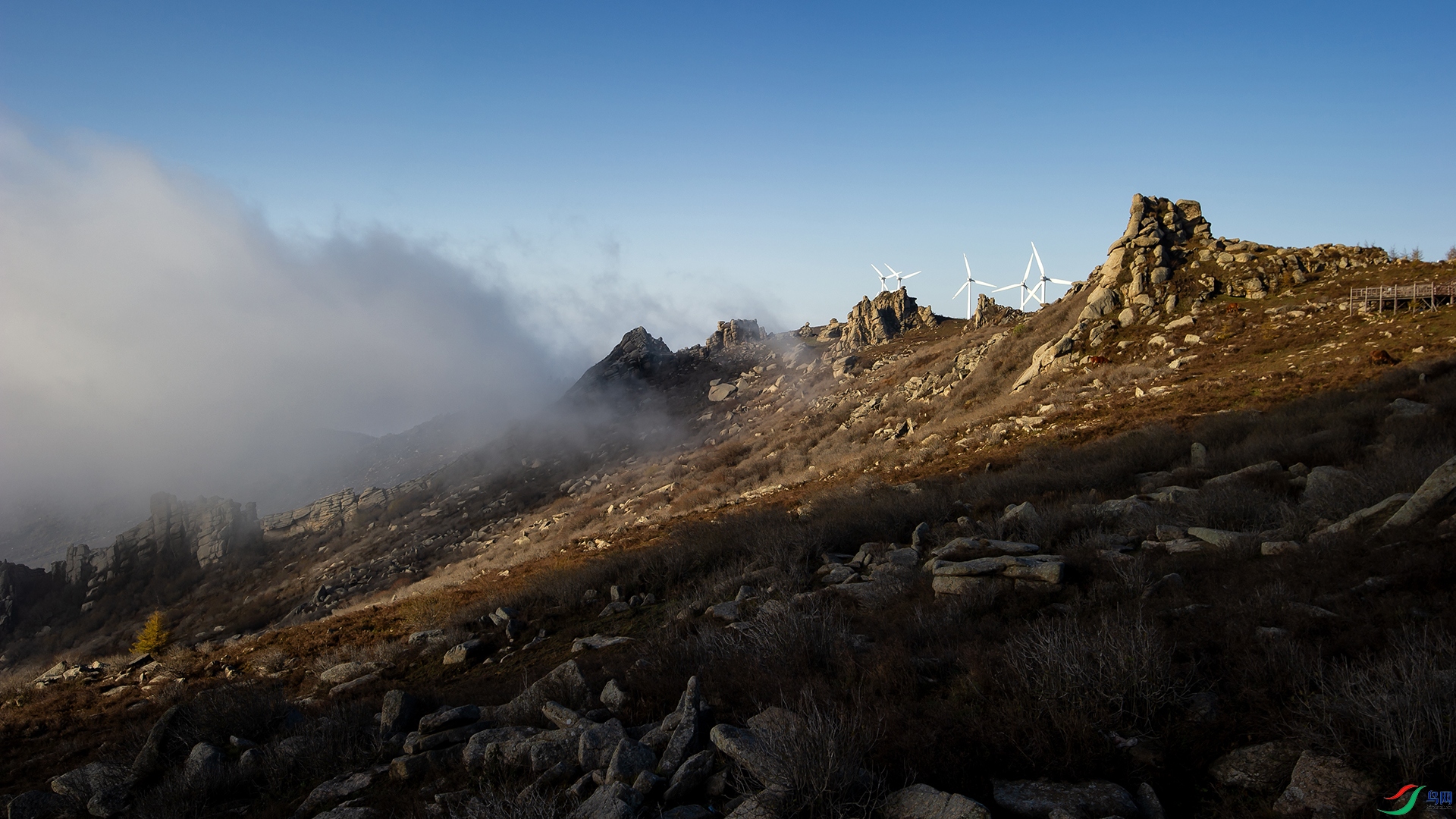 _DSC3223-20211014�ü�.jpg