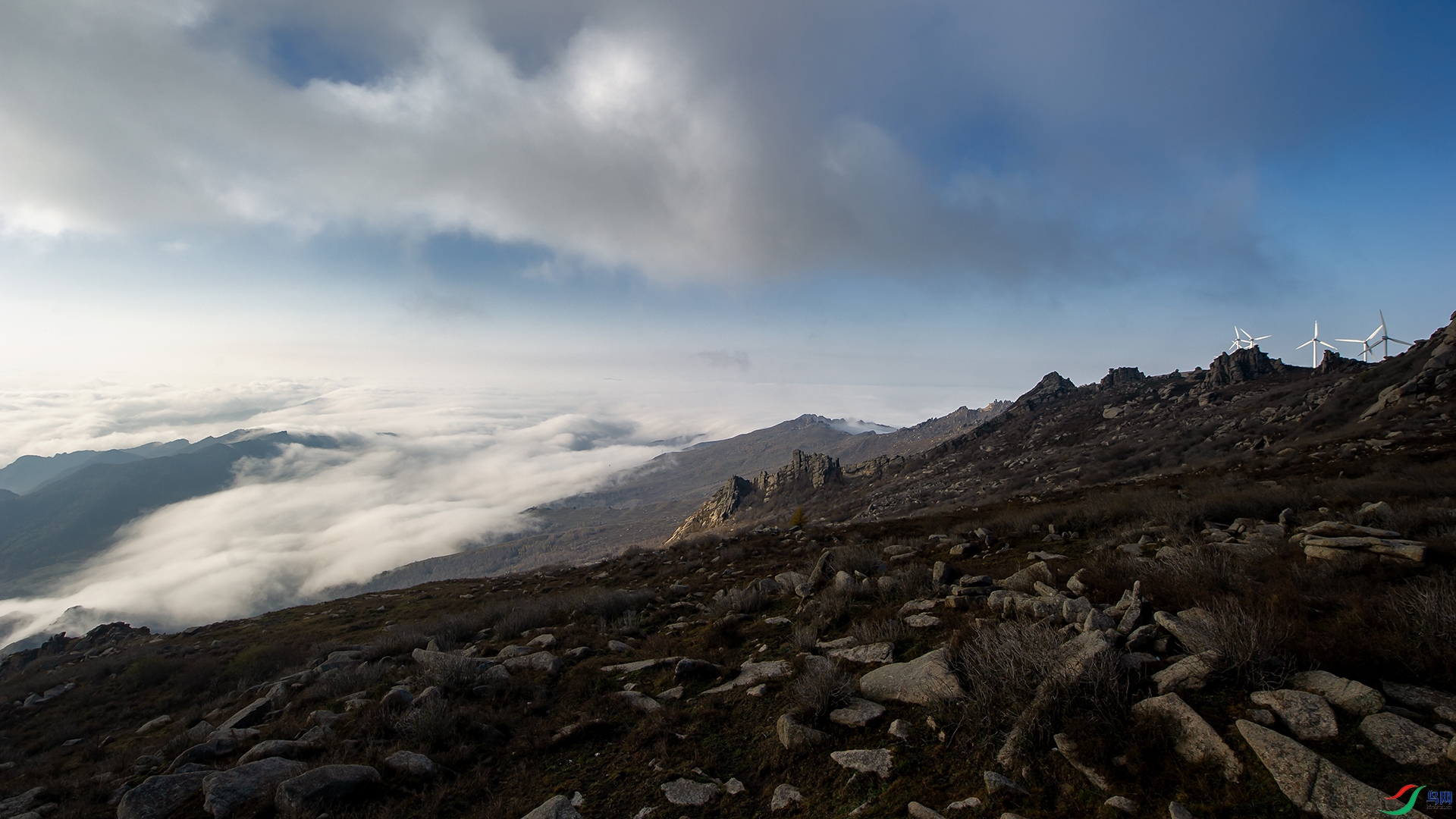_DSC3279-20211013�ü�.jpg