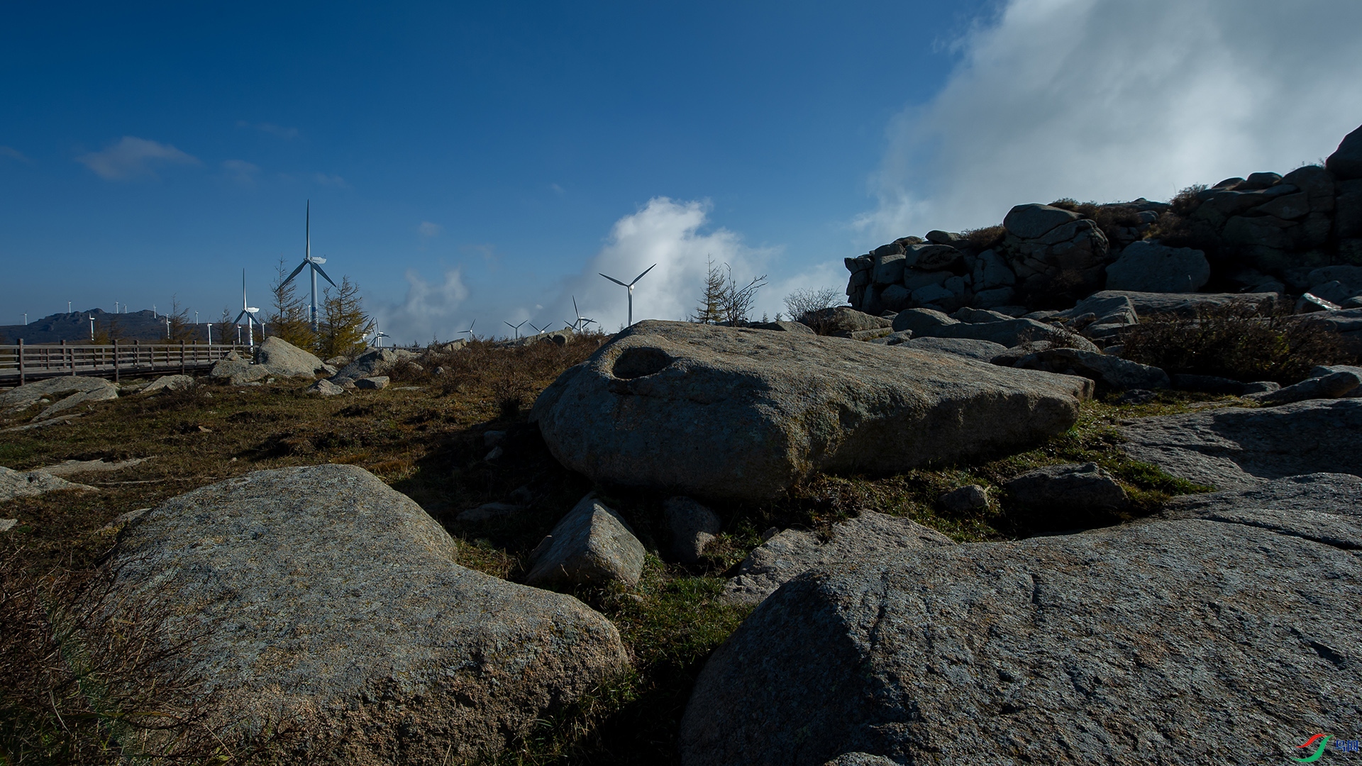 _DSC3402-20211017�ü�.jpg