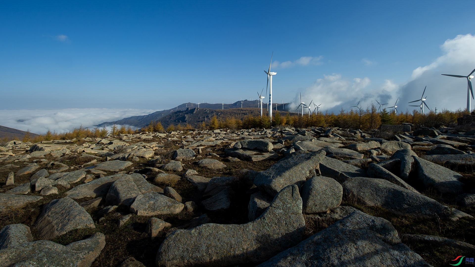 _DSC3341-20211015�ü�.jpg