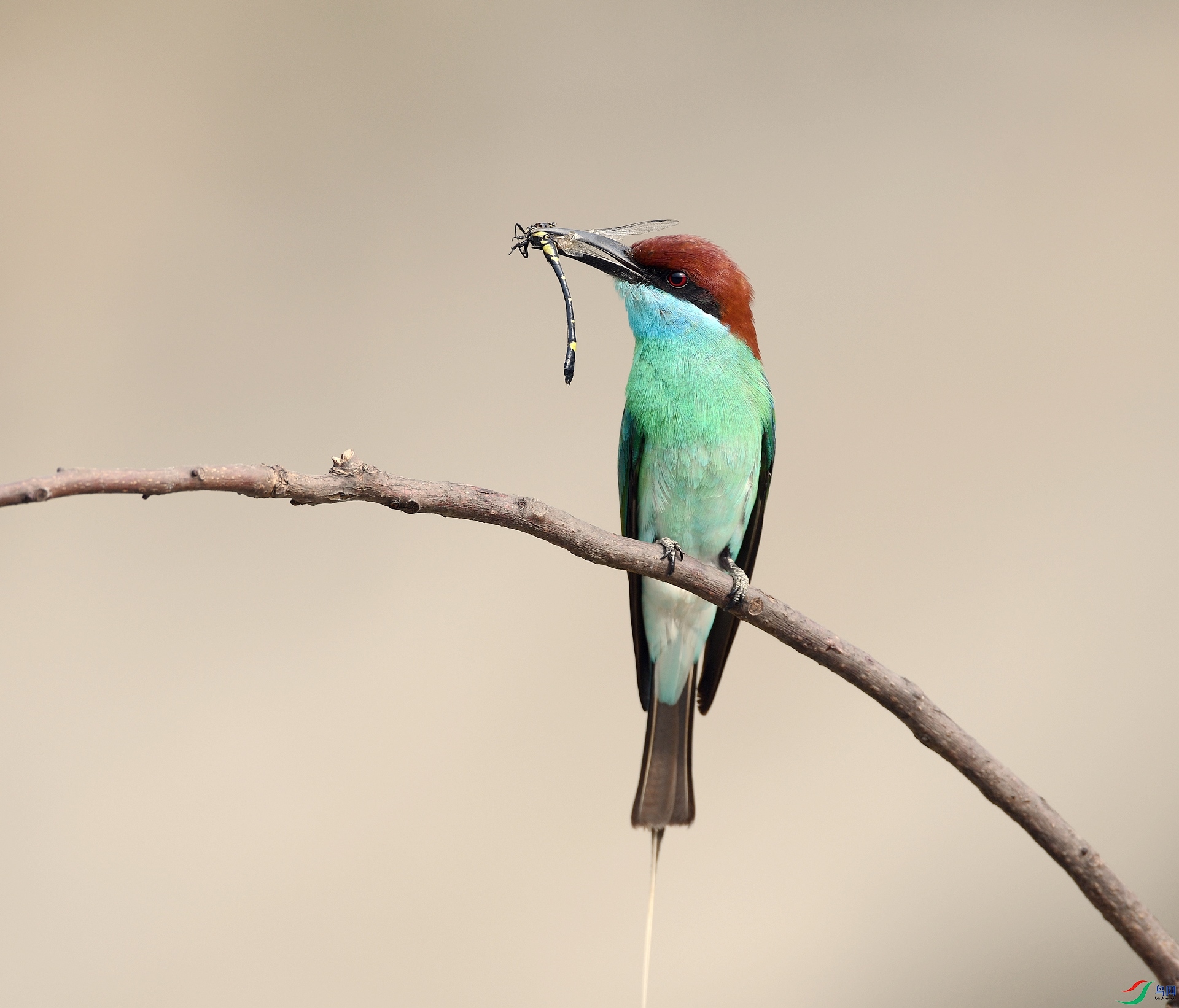 DSC_1169.jpg