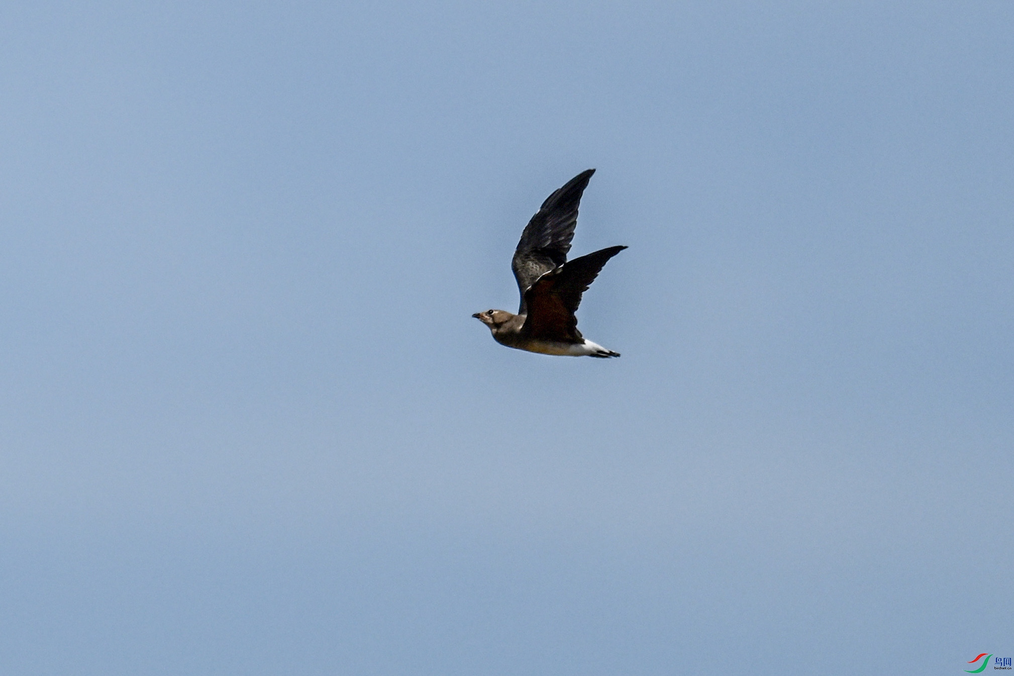 DSC_4975.JPG