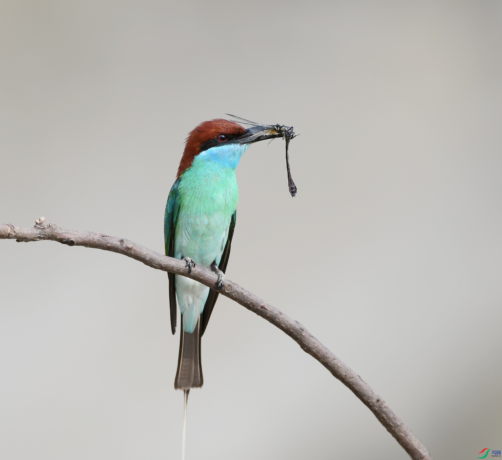 DSC_1166.jpg