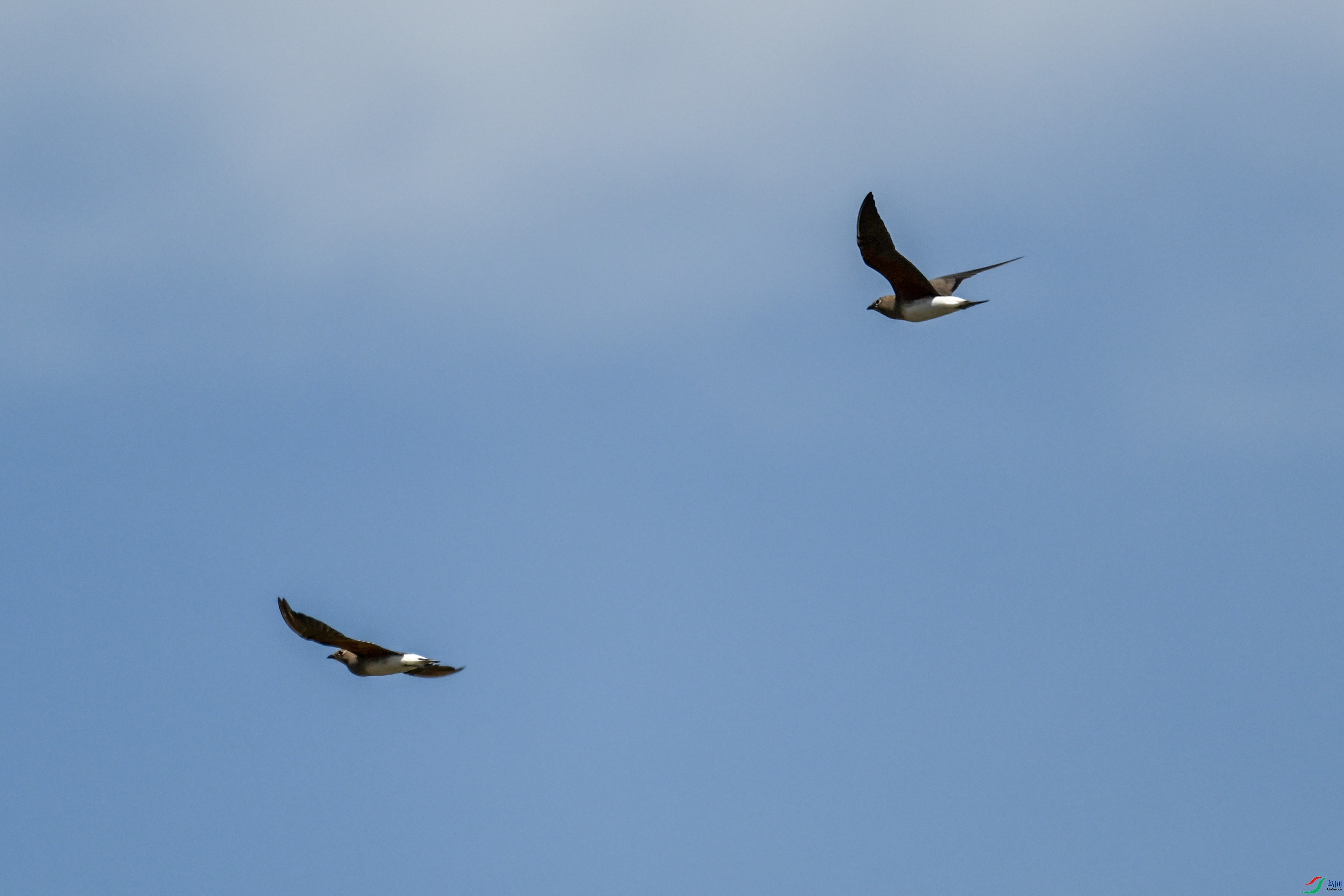 DSC_4980.JPG