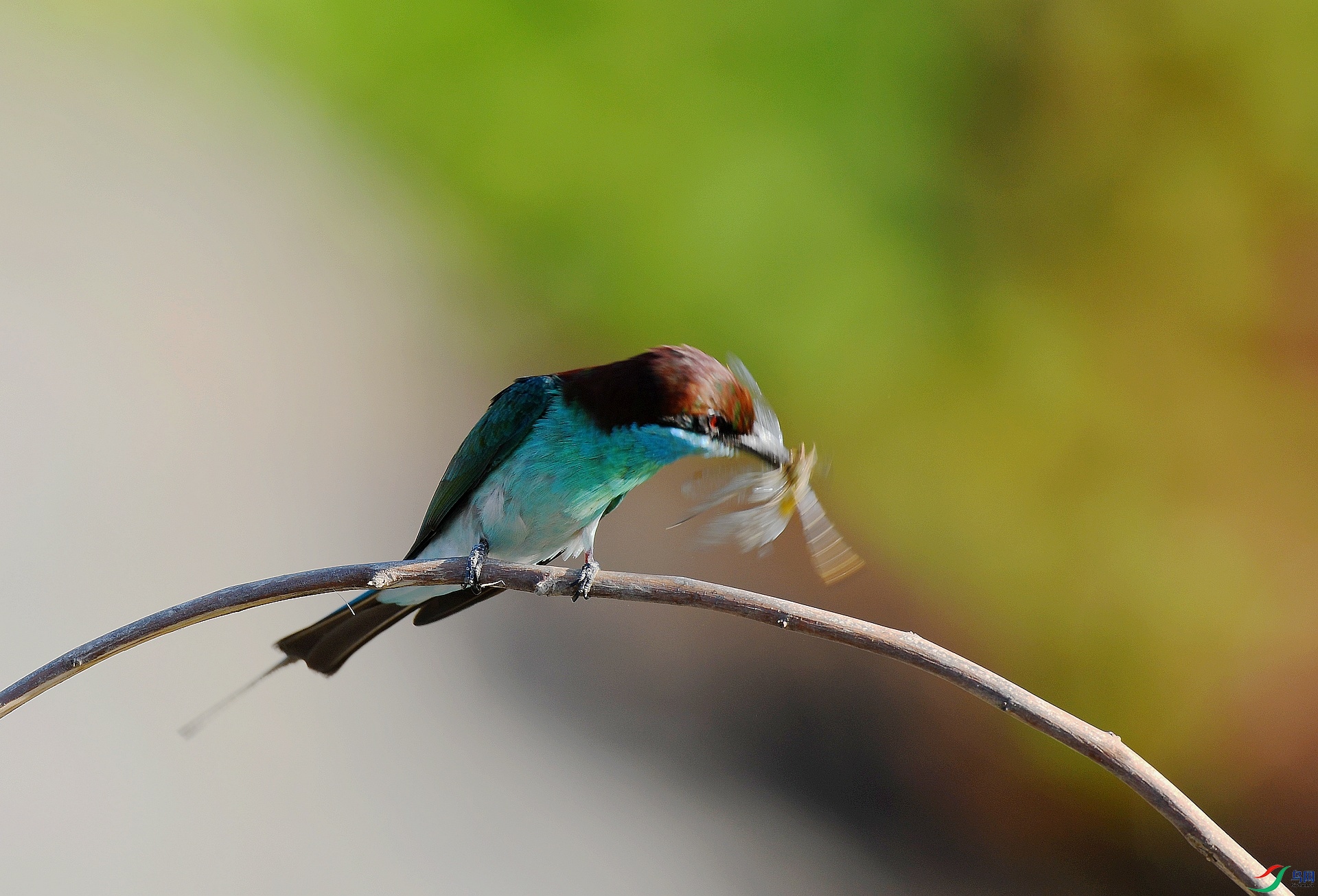 DSC_6798.jpg
