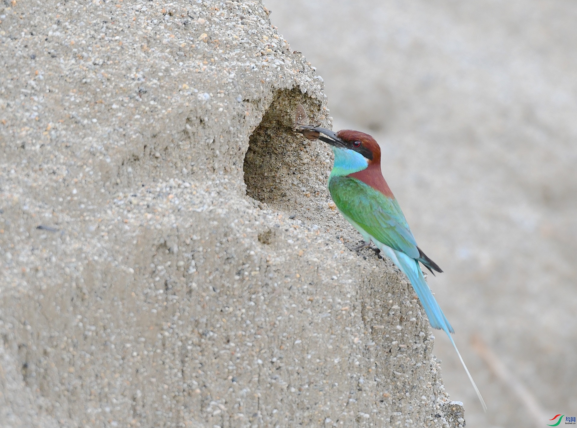 DSC_0771.jpg