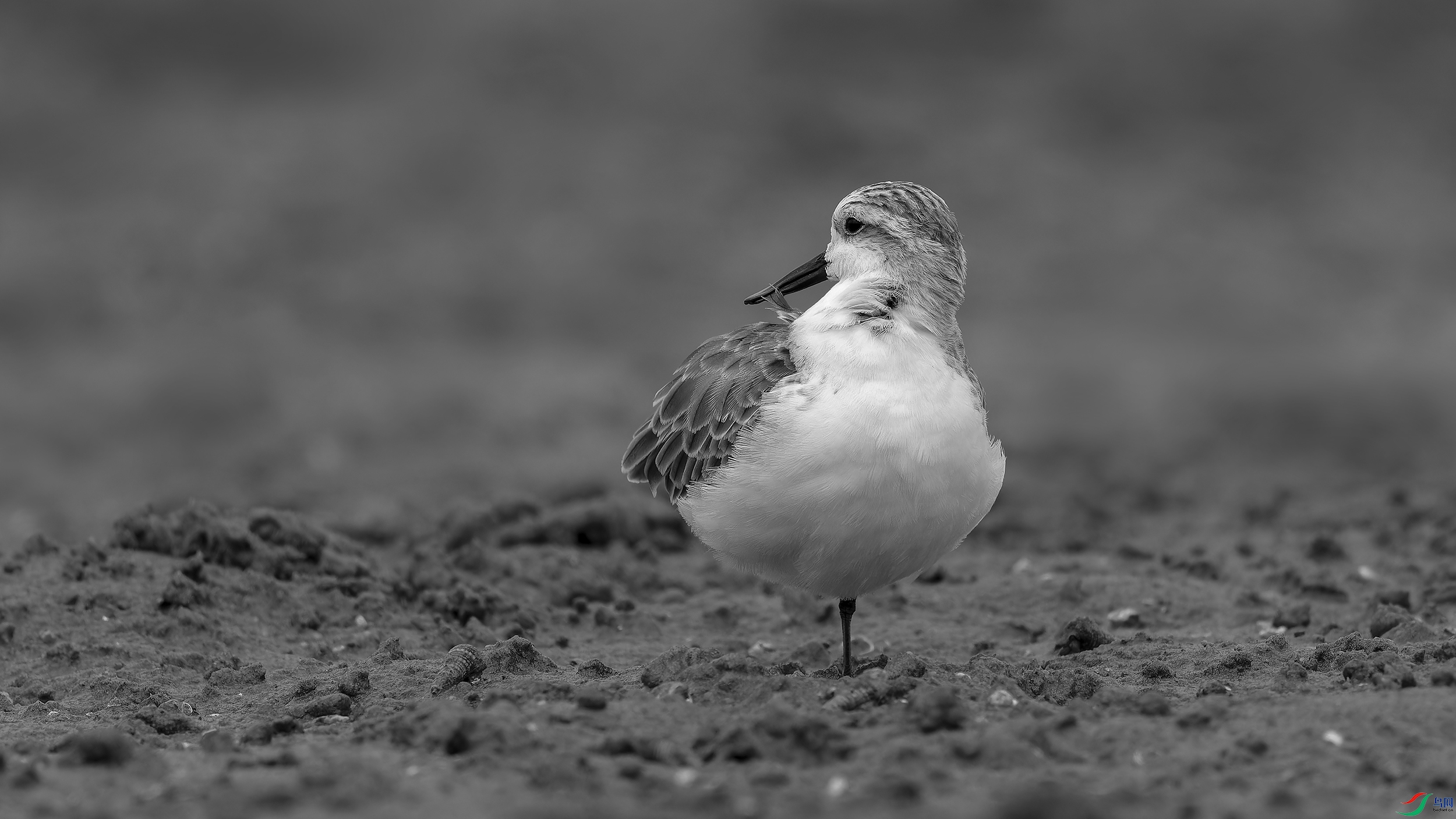 _DSC8390_DxO.jpg