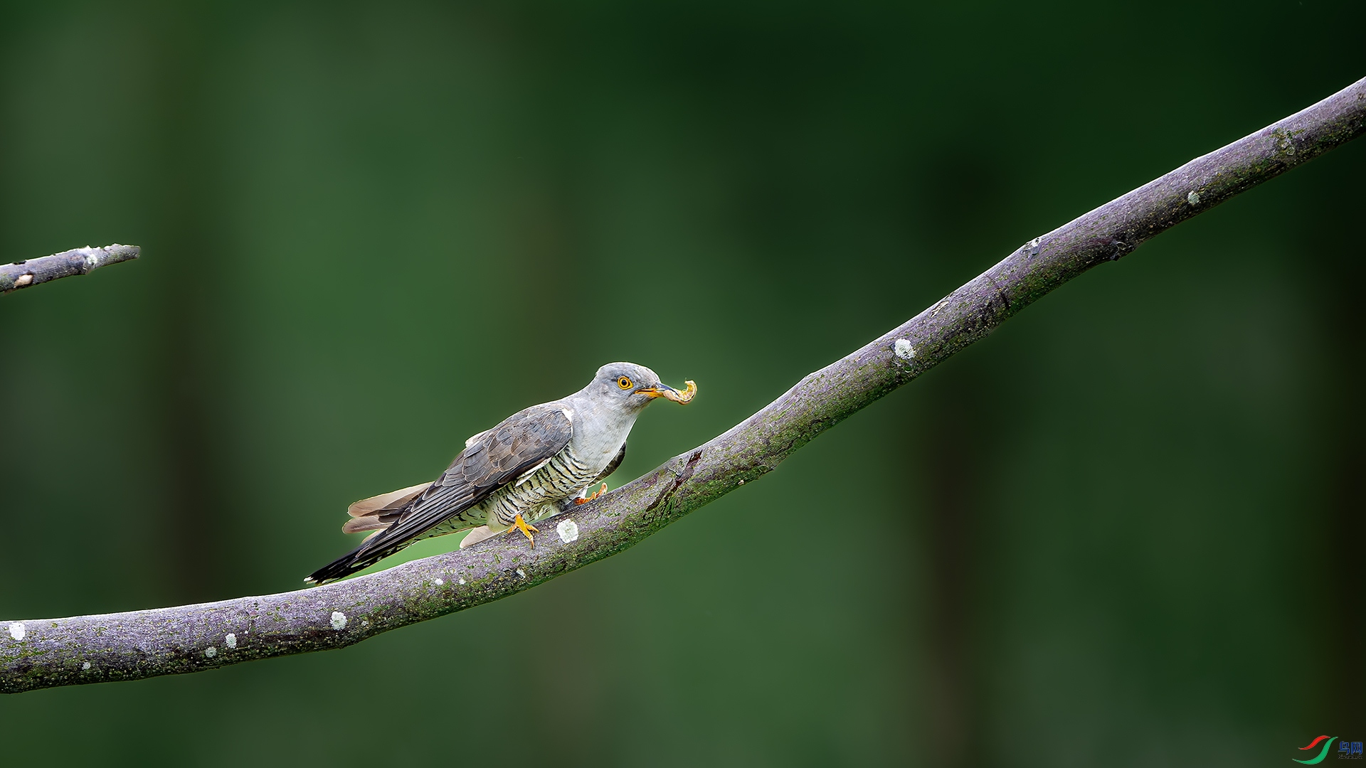 DSC_6464.jpg