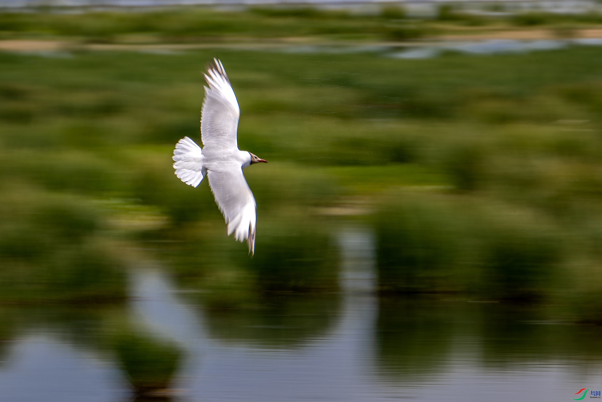 DSC_3587-1a.jpg