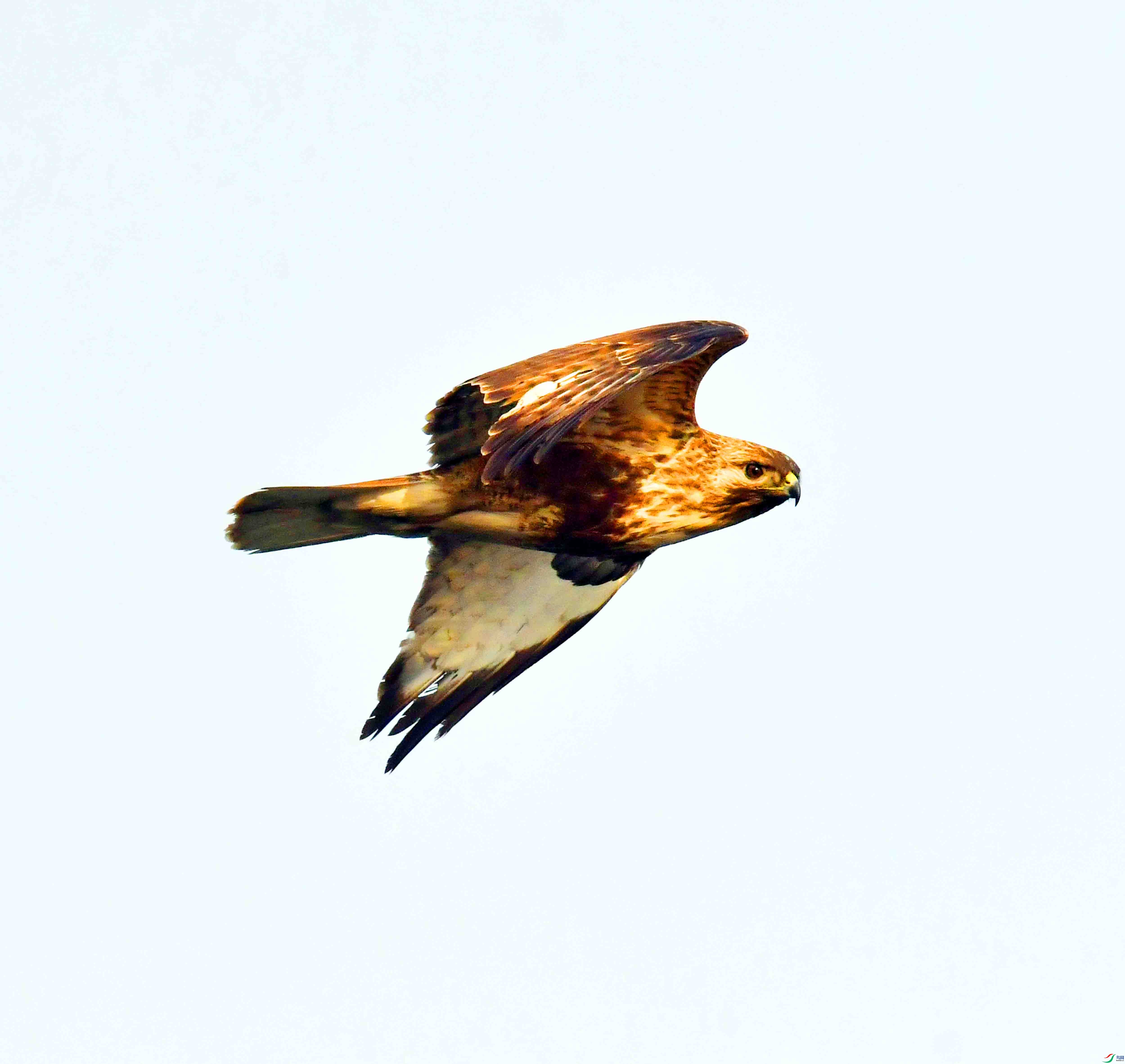 DSC_3971.JPG