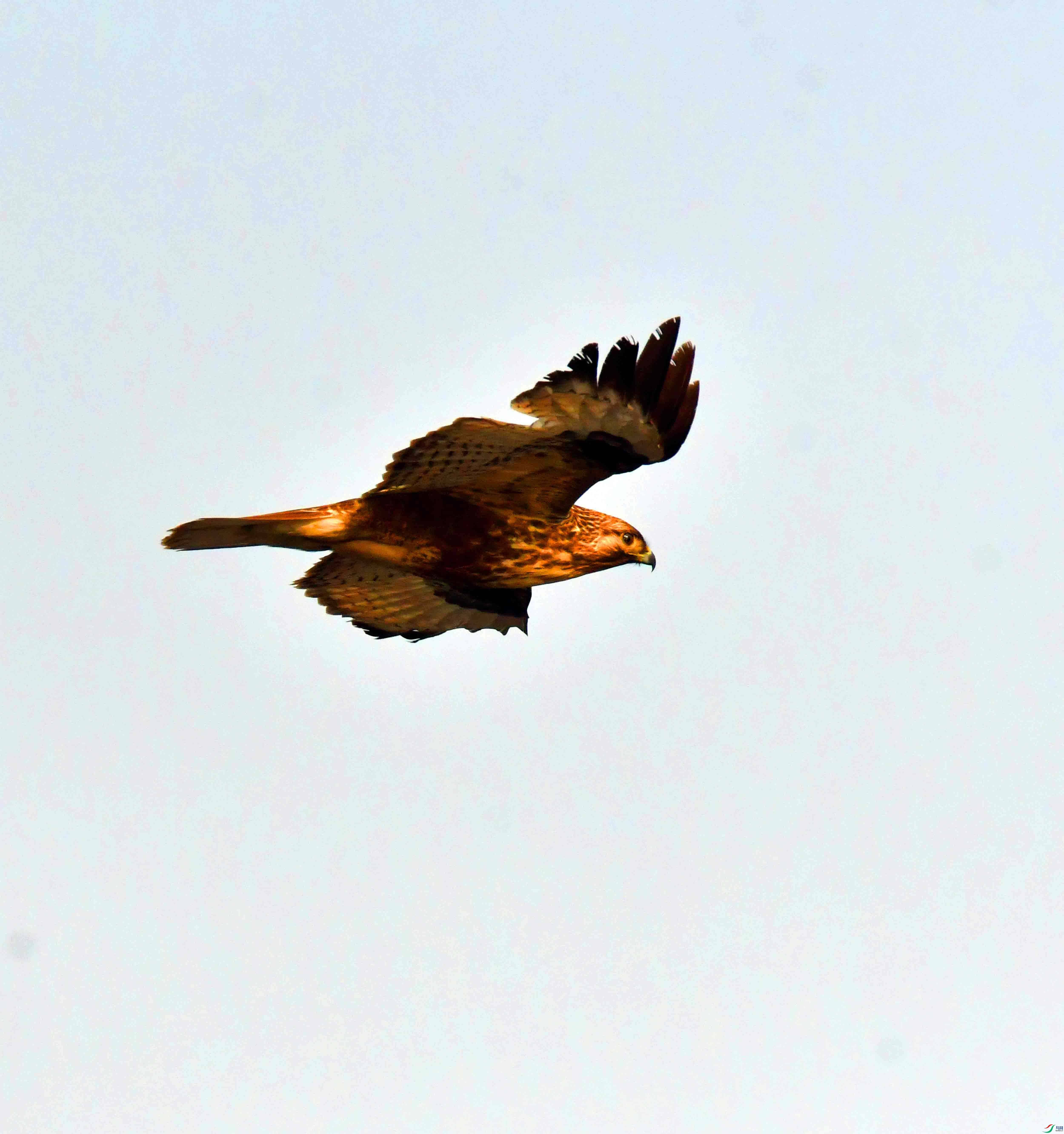 DSC_3974.JPG
