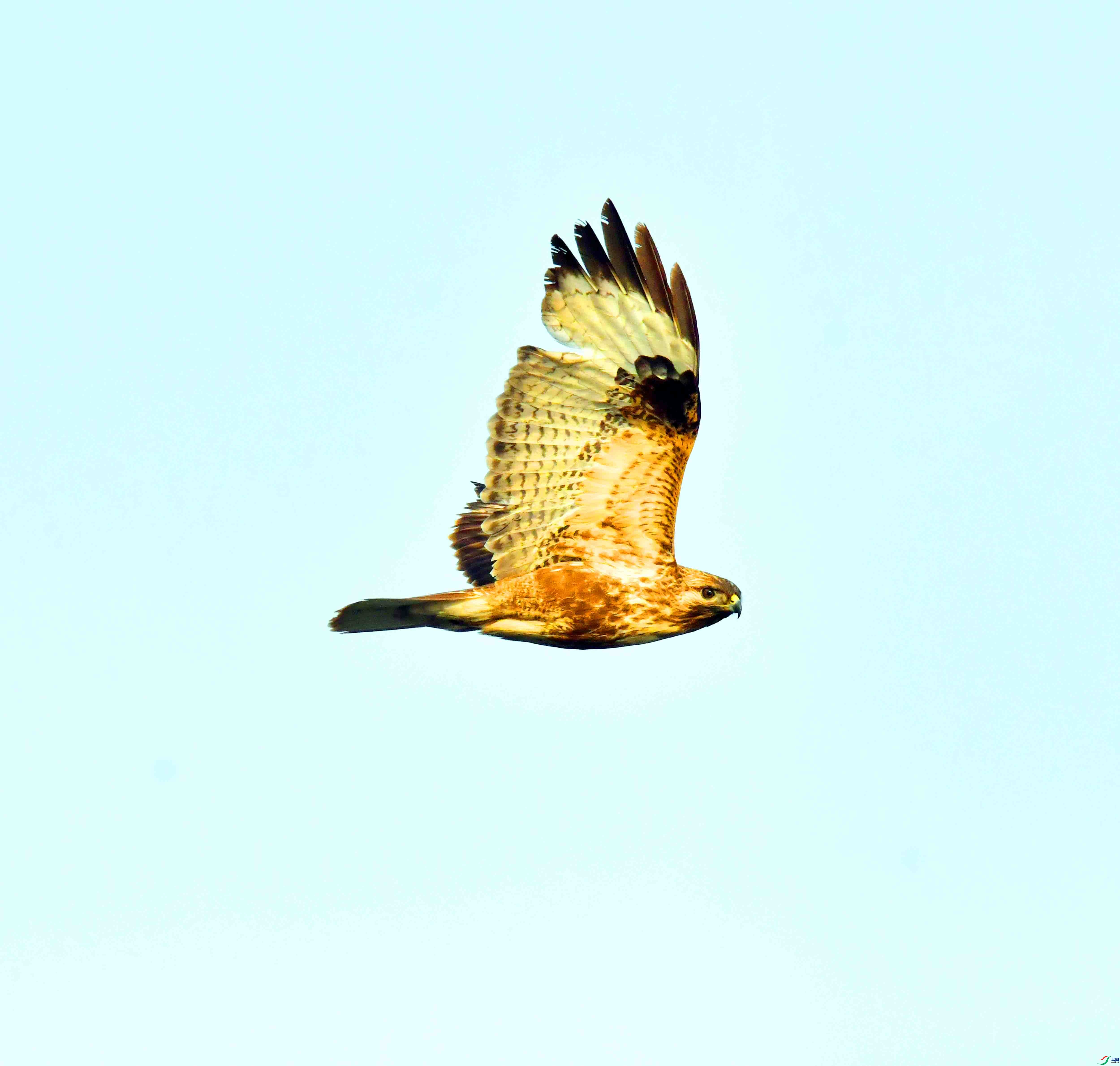 DSC_3972.JPG
