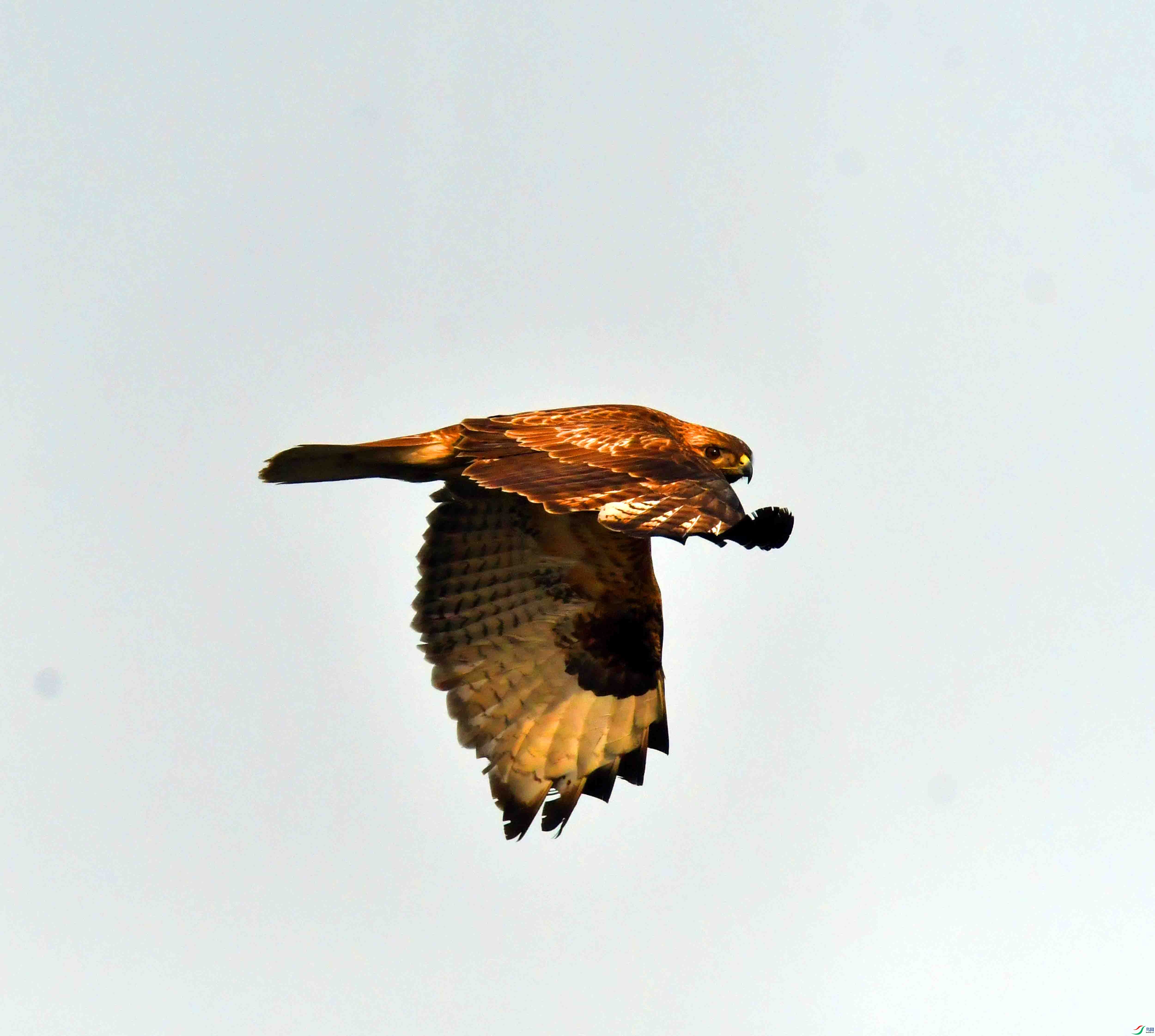 DSC_3973.JPG