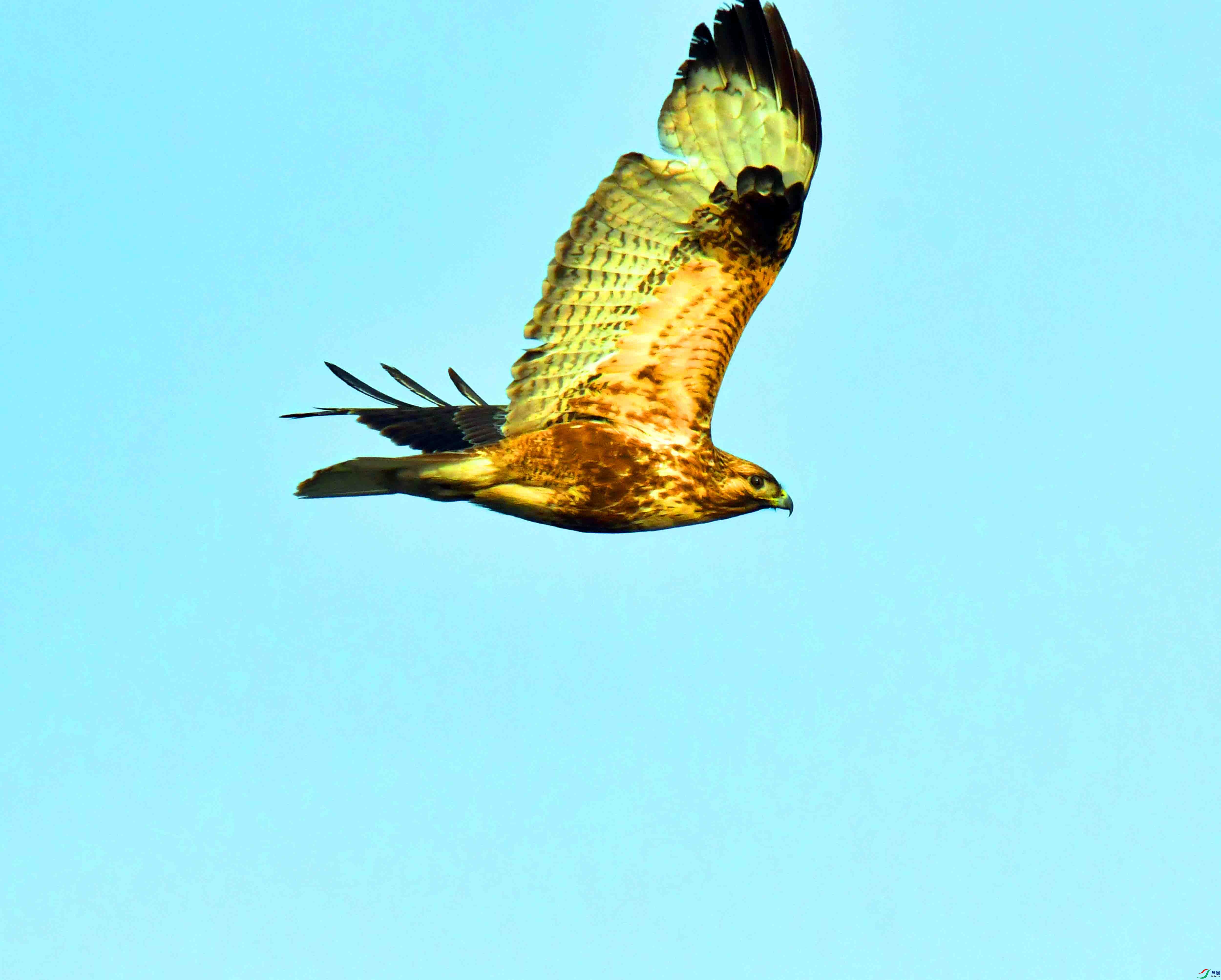DSC_3977.JPG