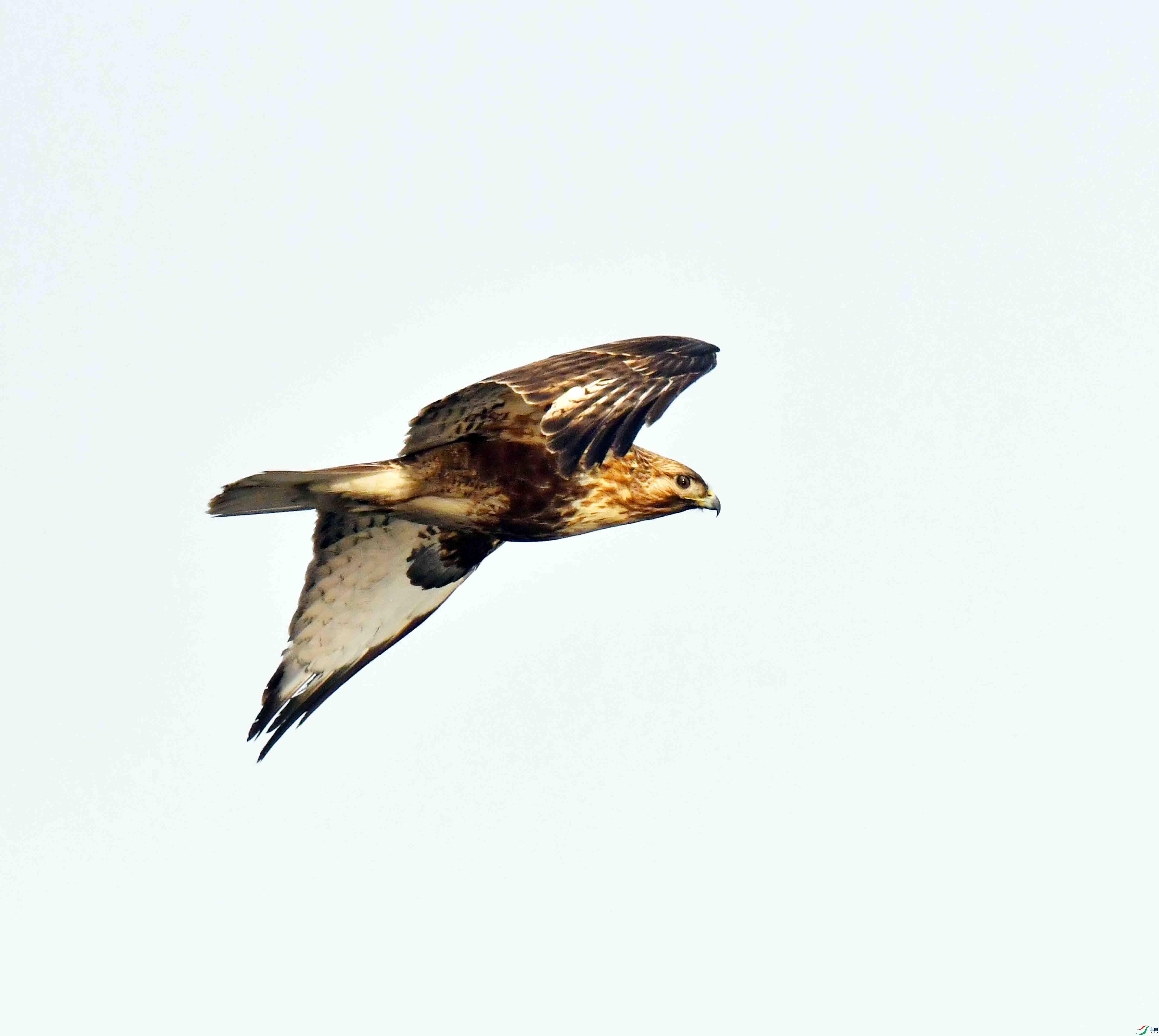 DSC_3976.JPG