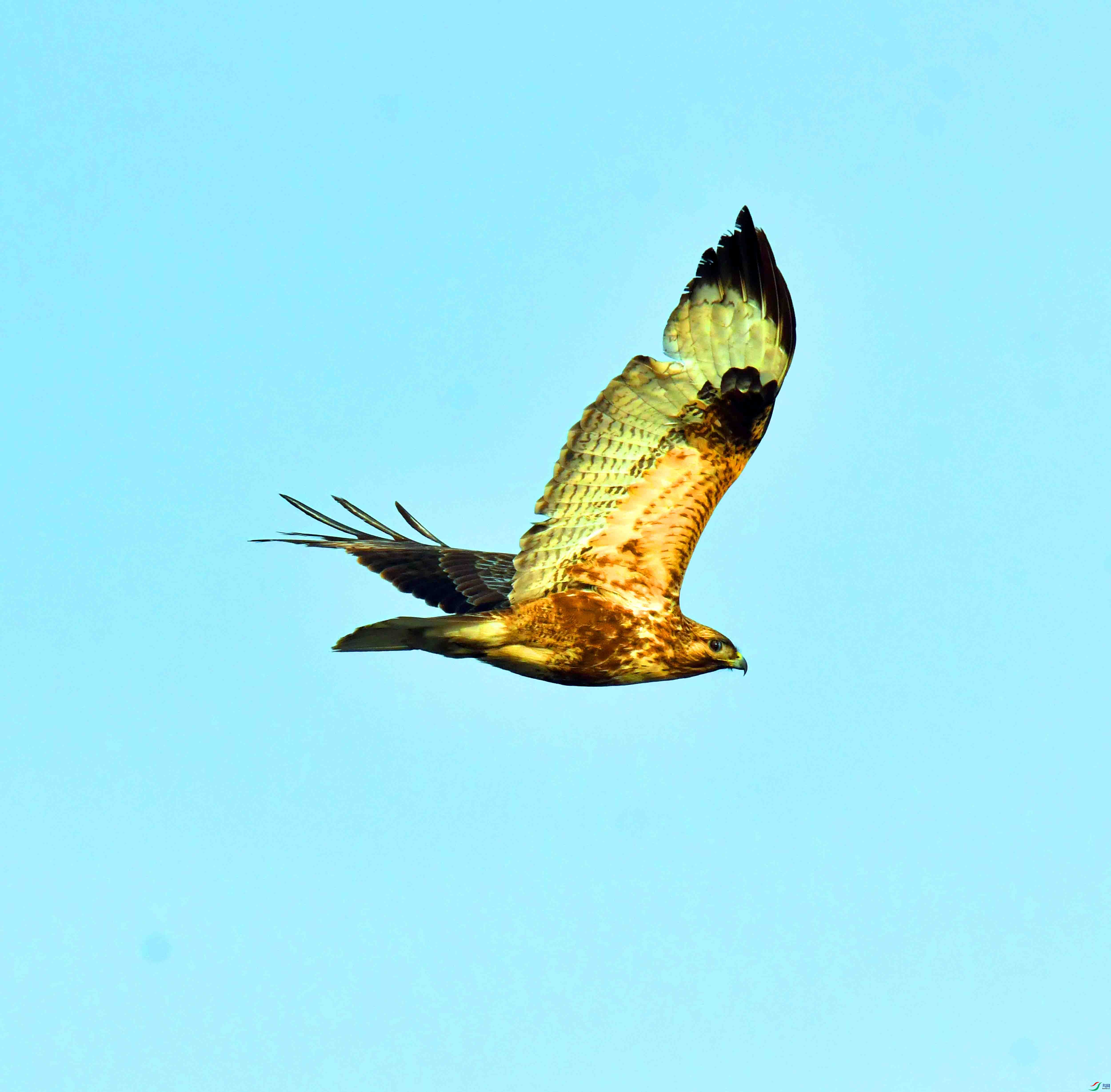 DSC_3978.JPG