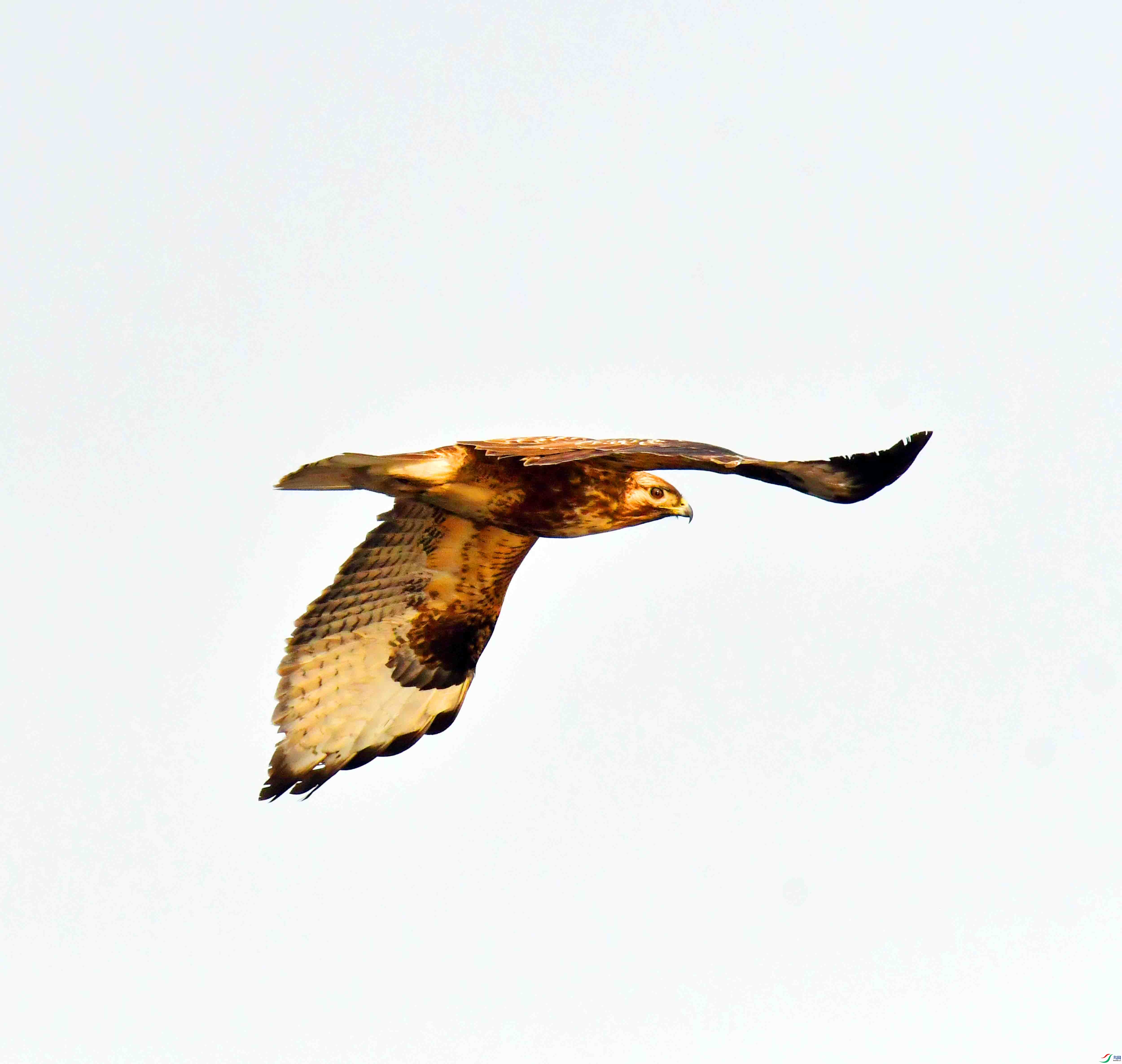DSC_3979.JPG