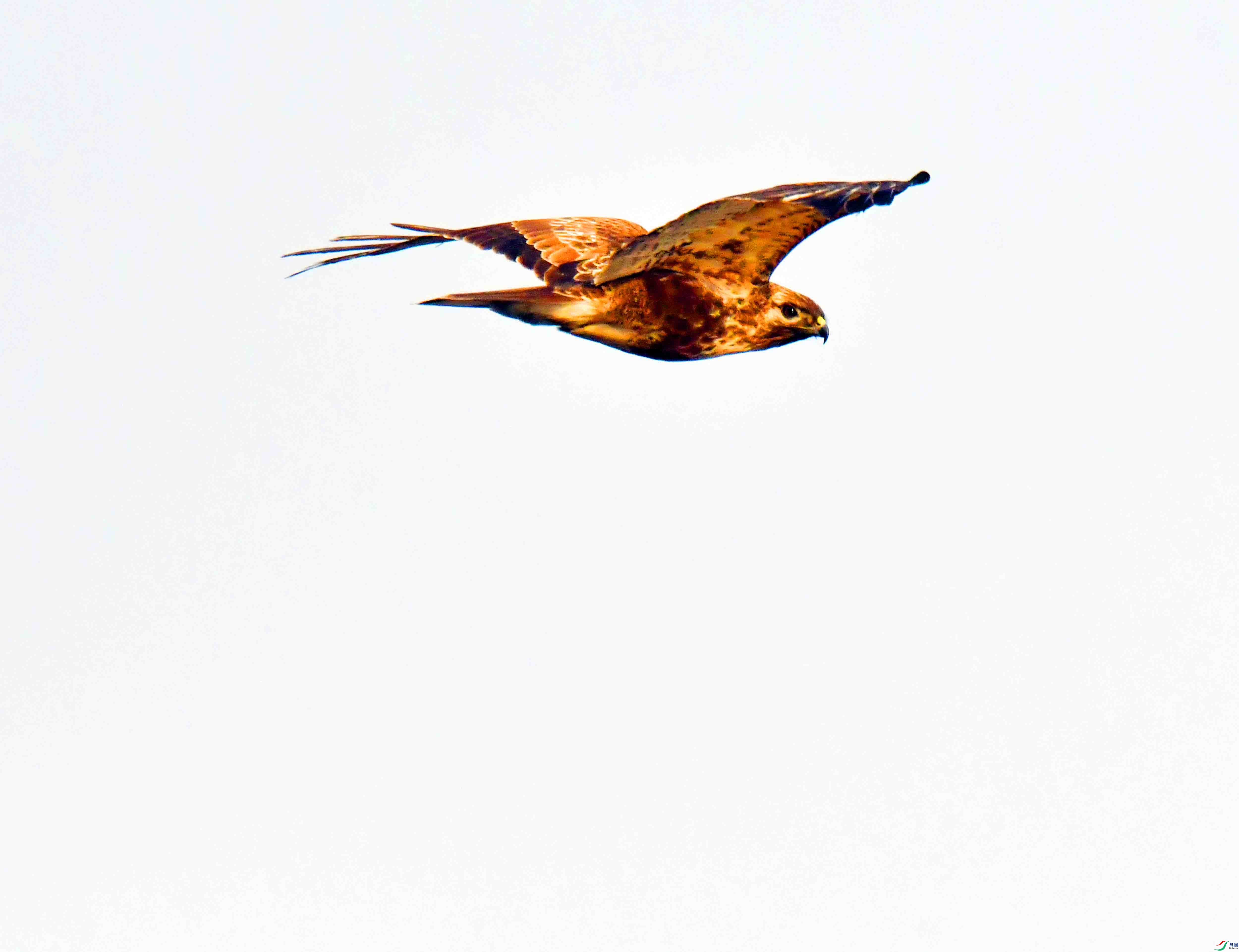 DSC_3981.JPG