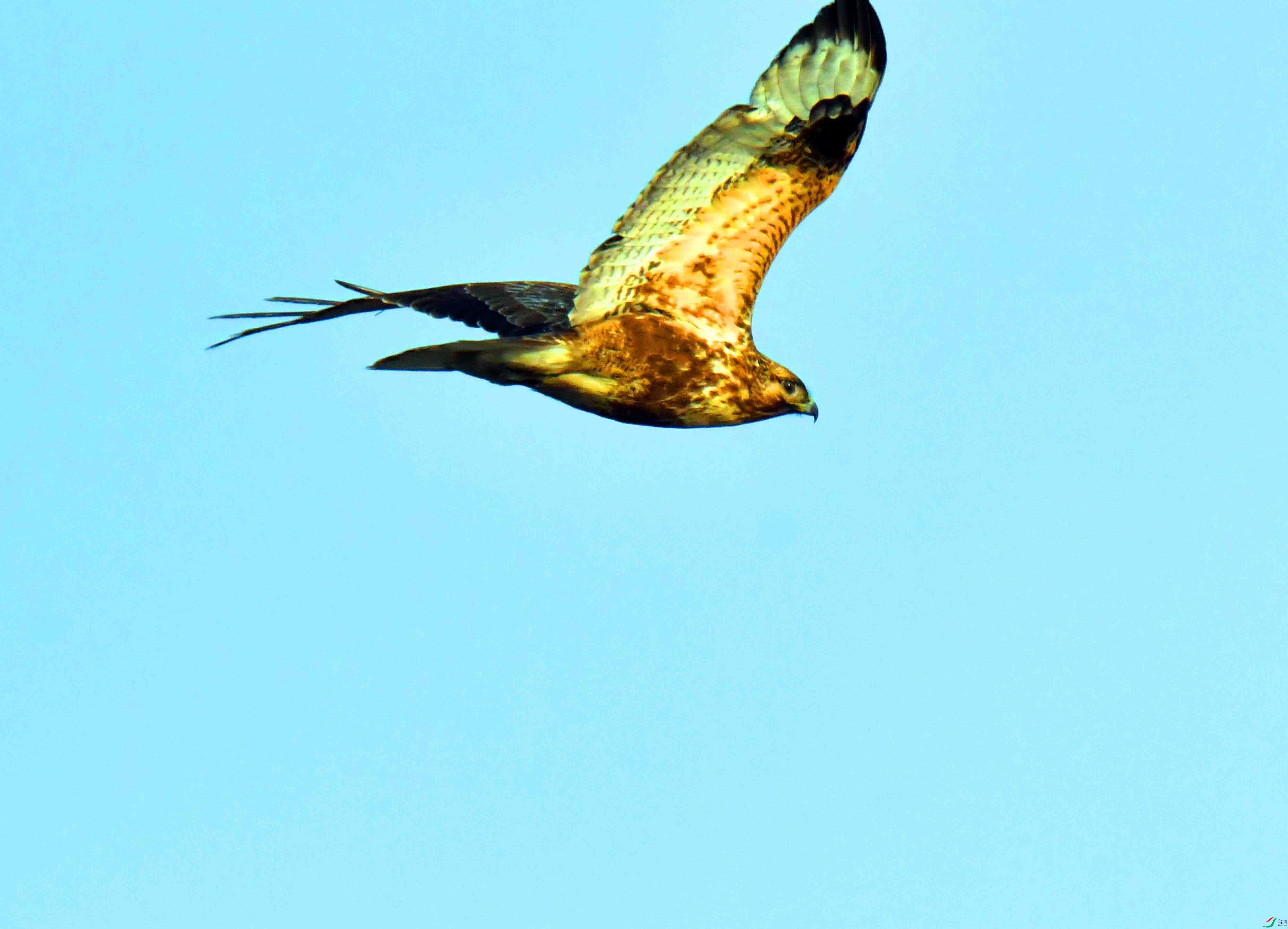 DSC_3985.JPG