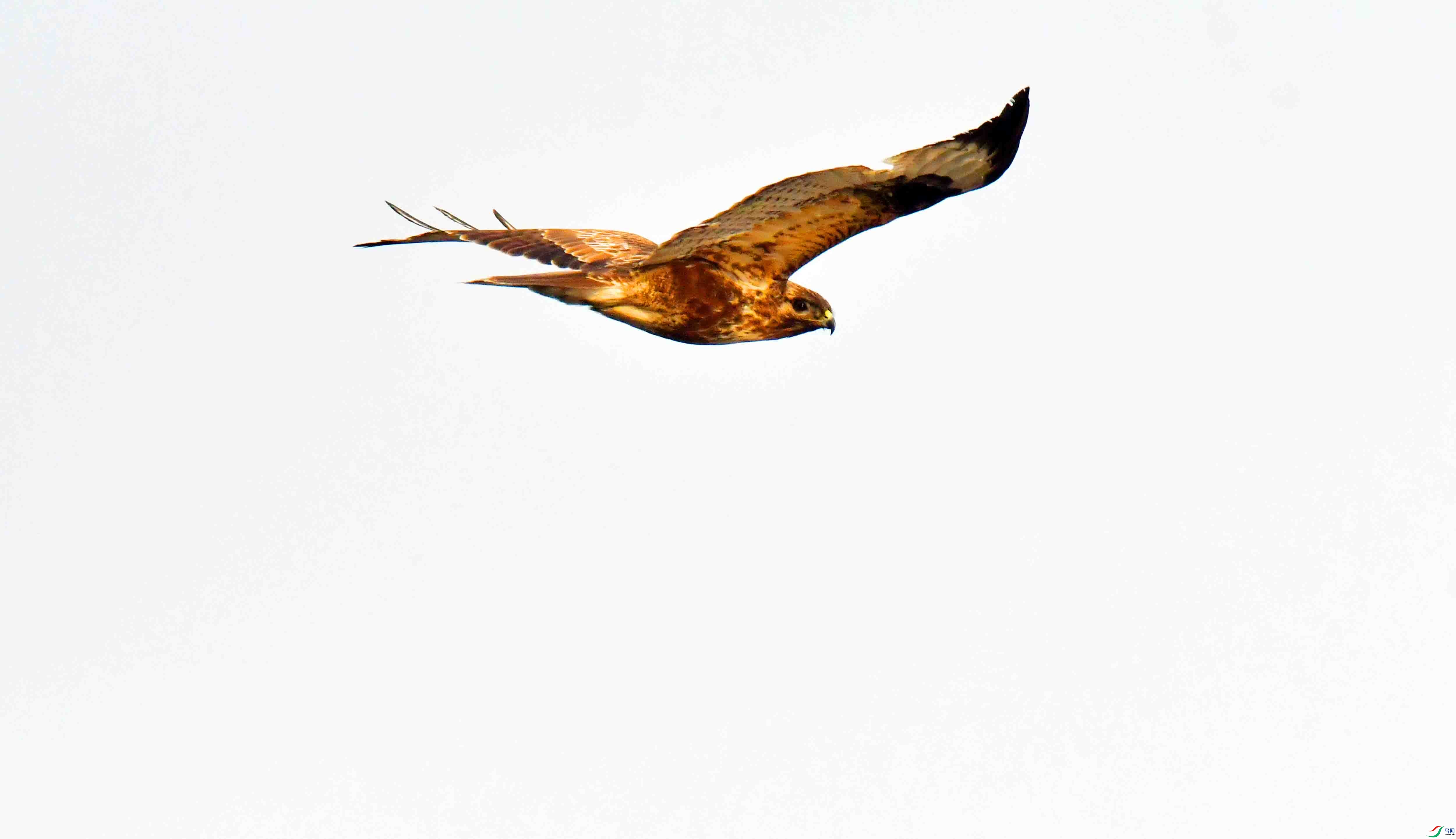 DSC_3982.JPG