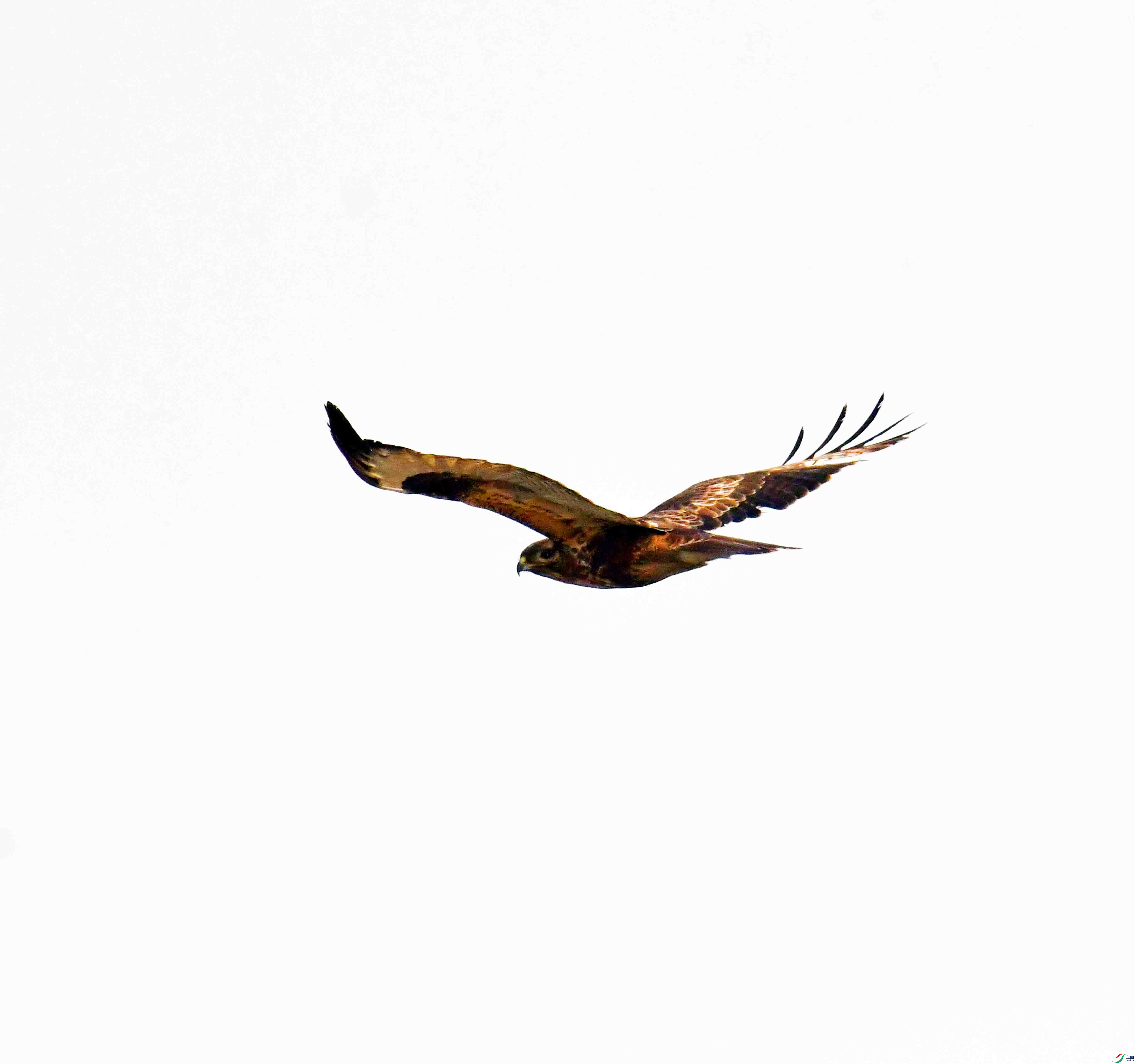 DSC_3996.JPG