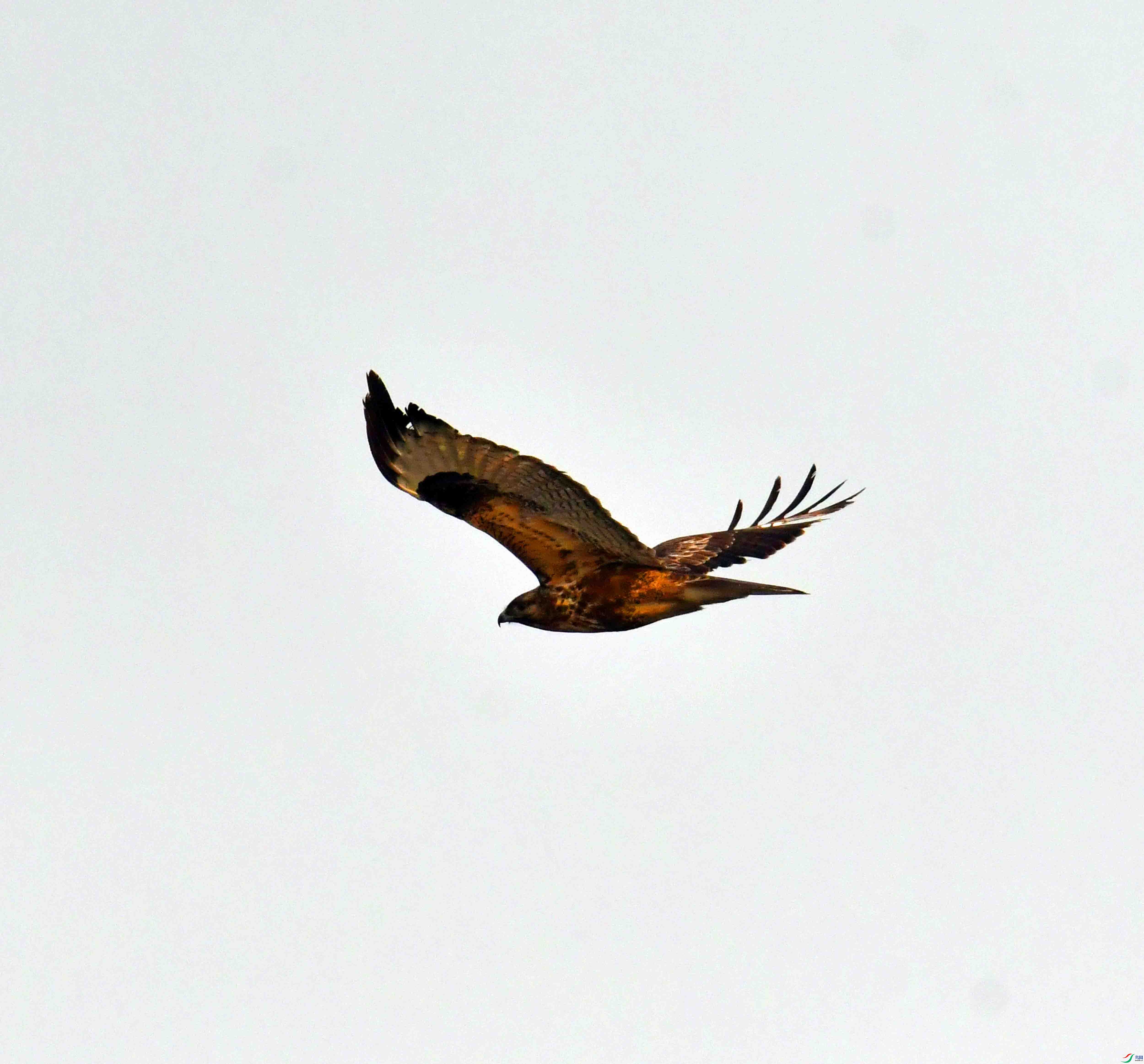 DSC_4001.JPG